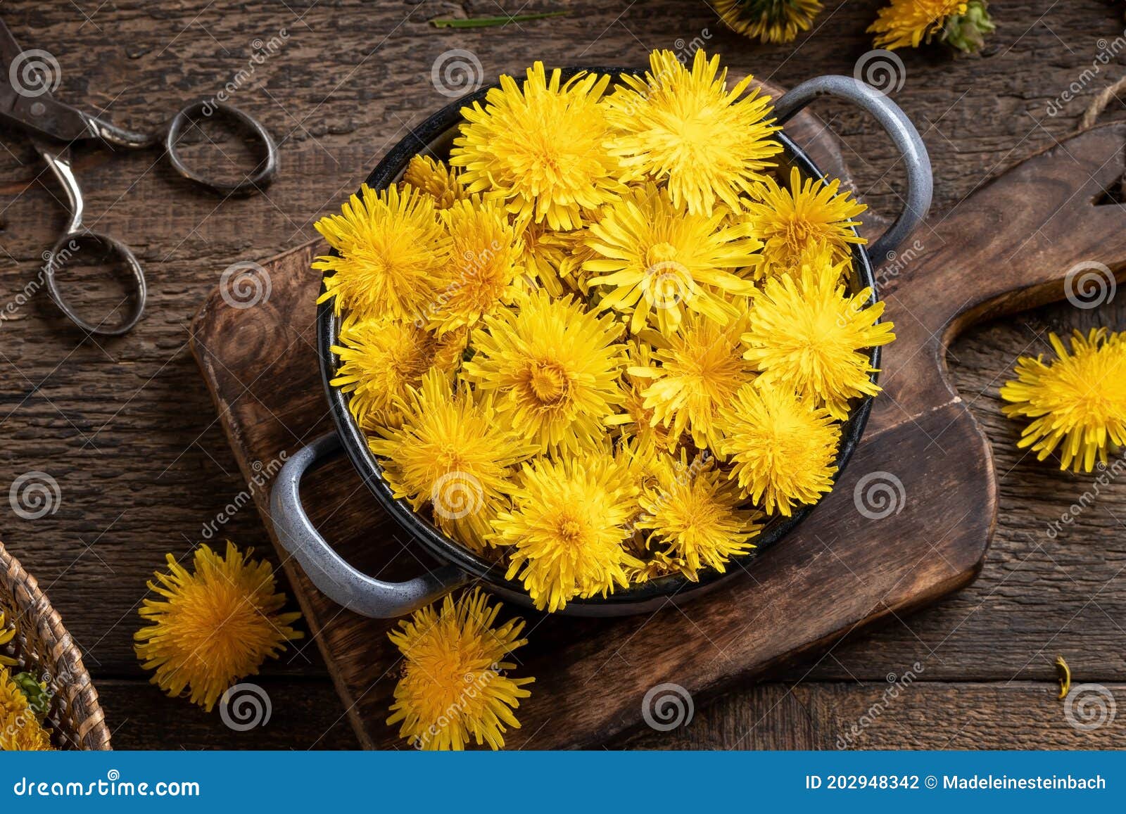 fresh dandelion flowers in a pot on a table