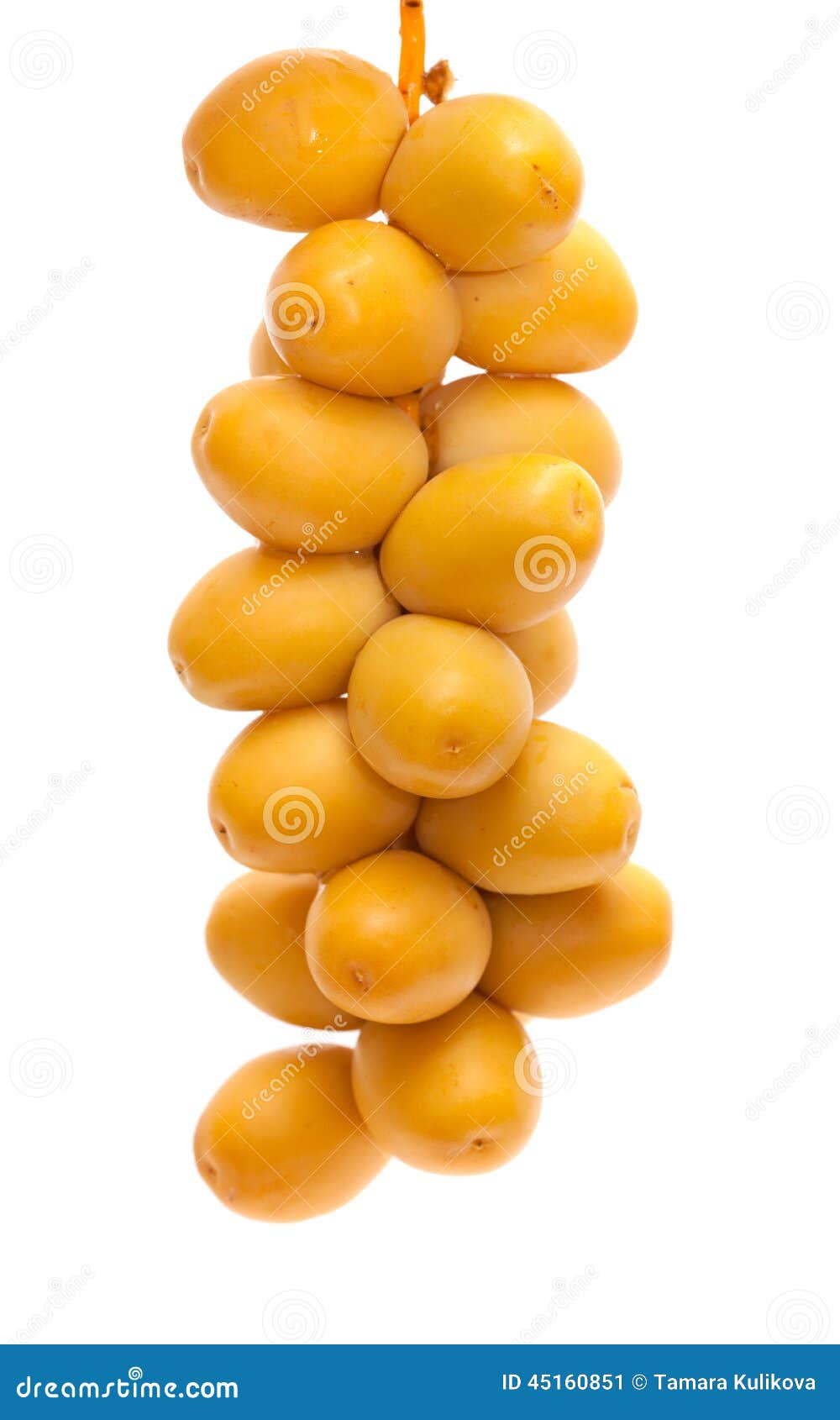 Fresh Date Fruit Isolated on White Stock Image Image of ingredient
