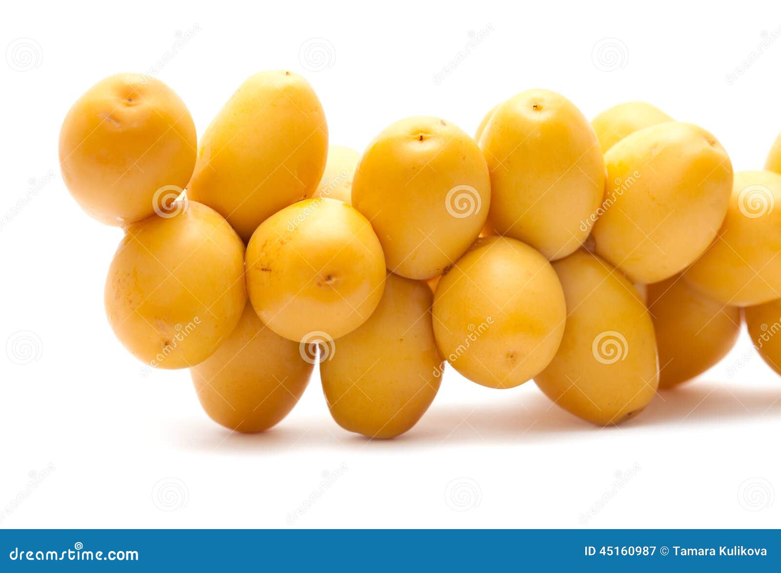 Fresh Date Fruit Isolated on White Stock Image Image of white