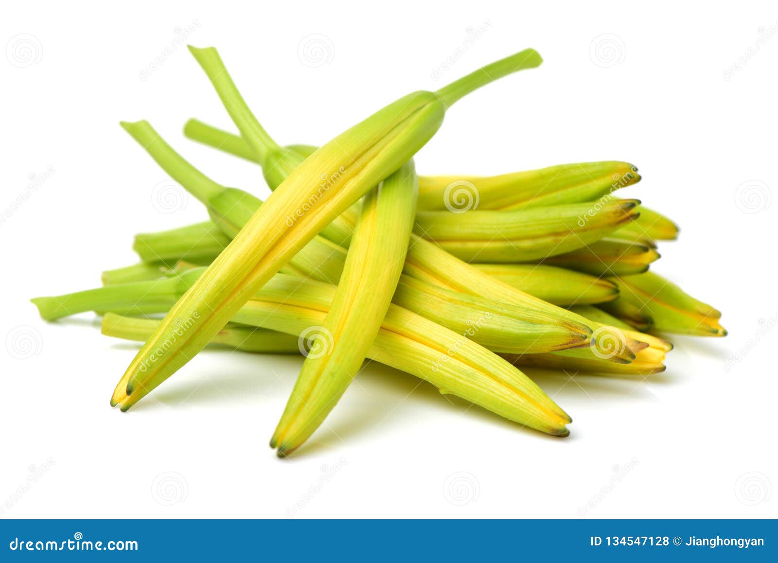 Fresh daylily stock photo. Image of background, hemerocallis - 134547128