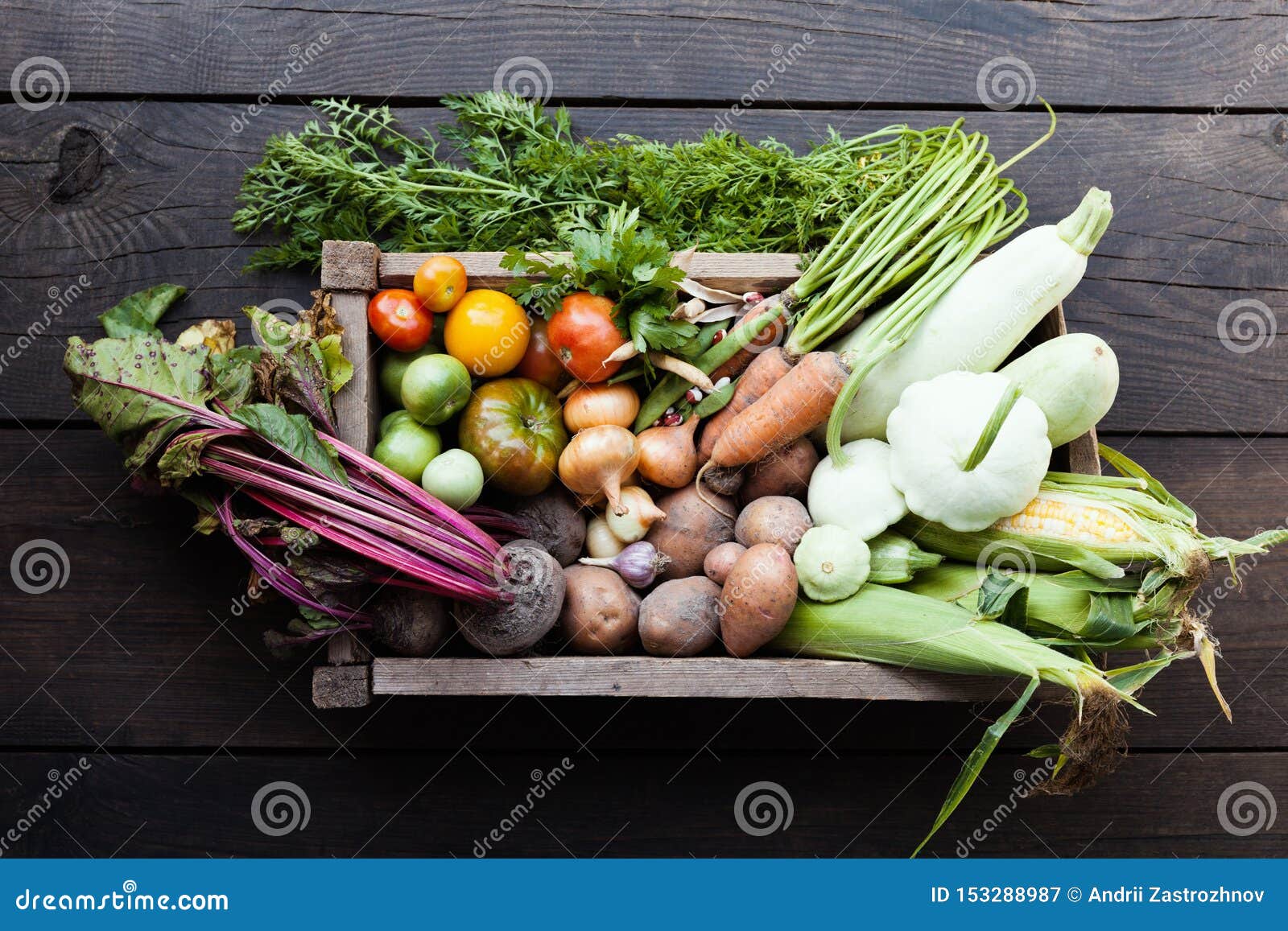 fresh detox vegetarian food, farm harvest