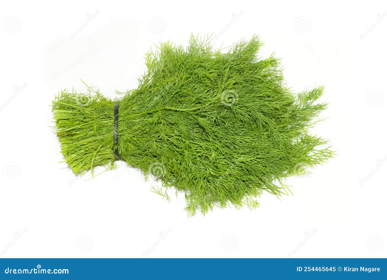 Fresh dill bunch vegetable stock image. Image of sprig 254465645