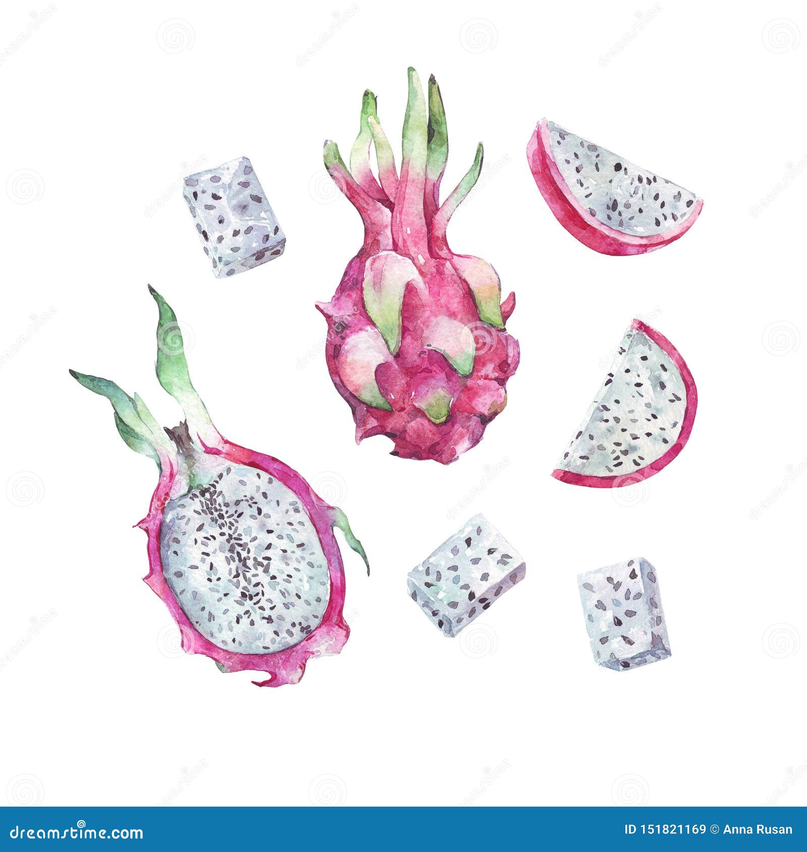 Fresh Dragon Fruit Watercolor Illustration Stock Illustration ...