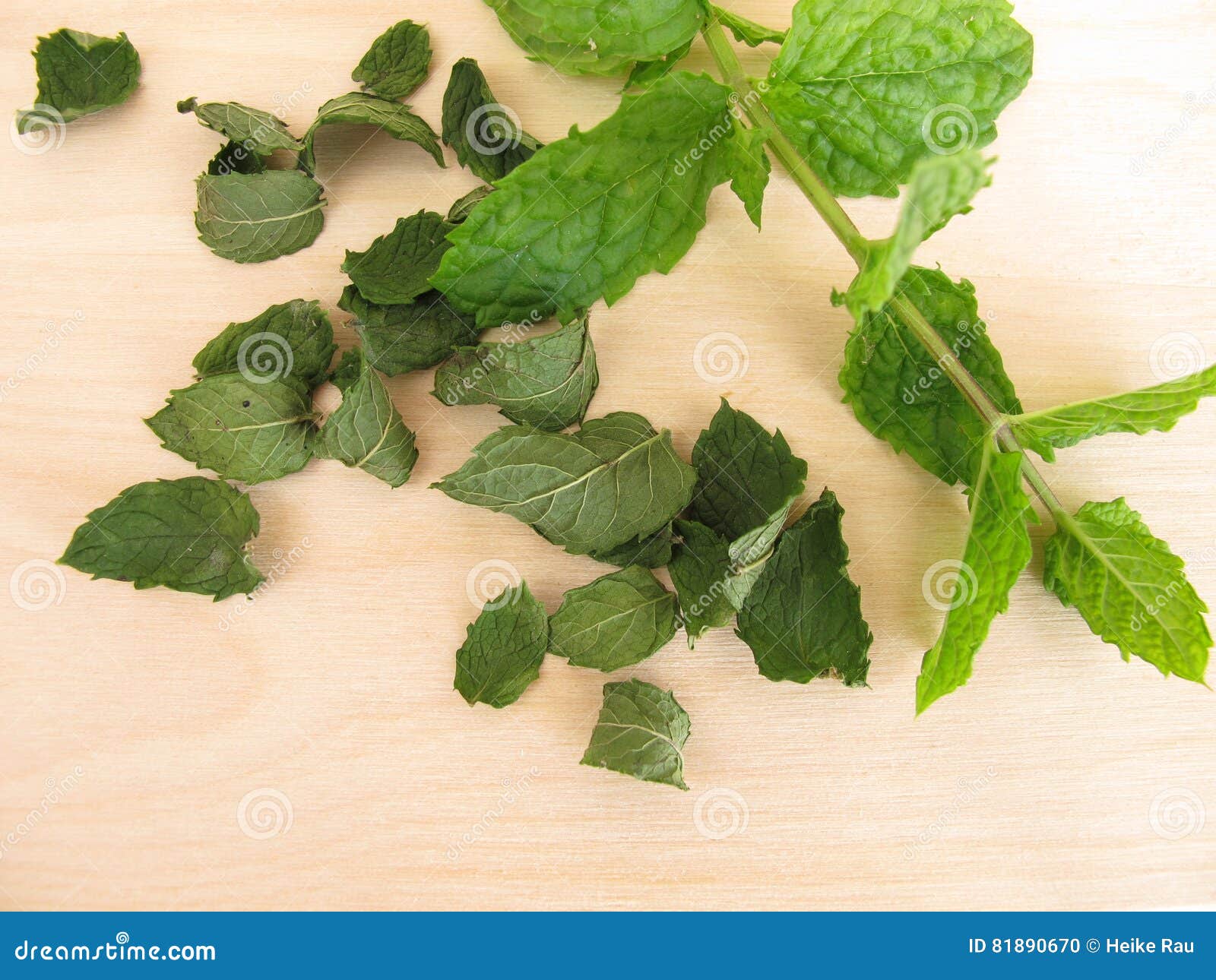 Fresh and dried peppermint stock photo. Image of mint 81890670