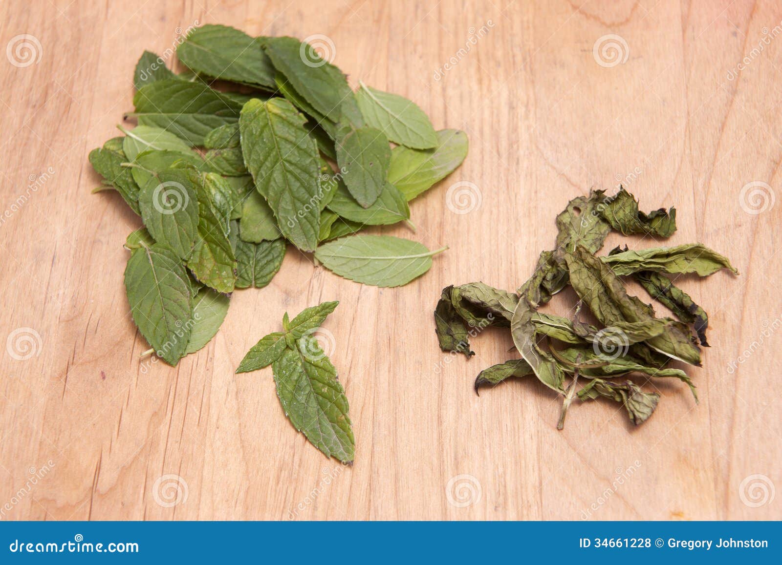 Fresh and Dried Peppermint Leaves. Stock Photo Image of leaves, green