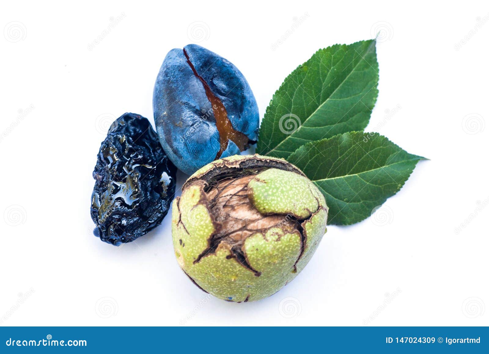 download dried prunes download dried prunes