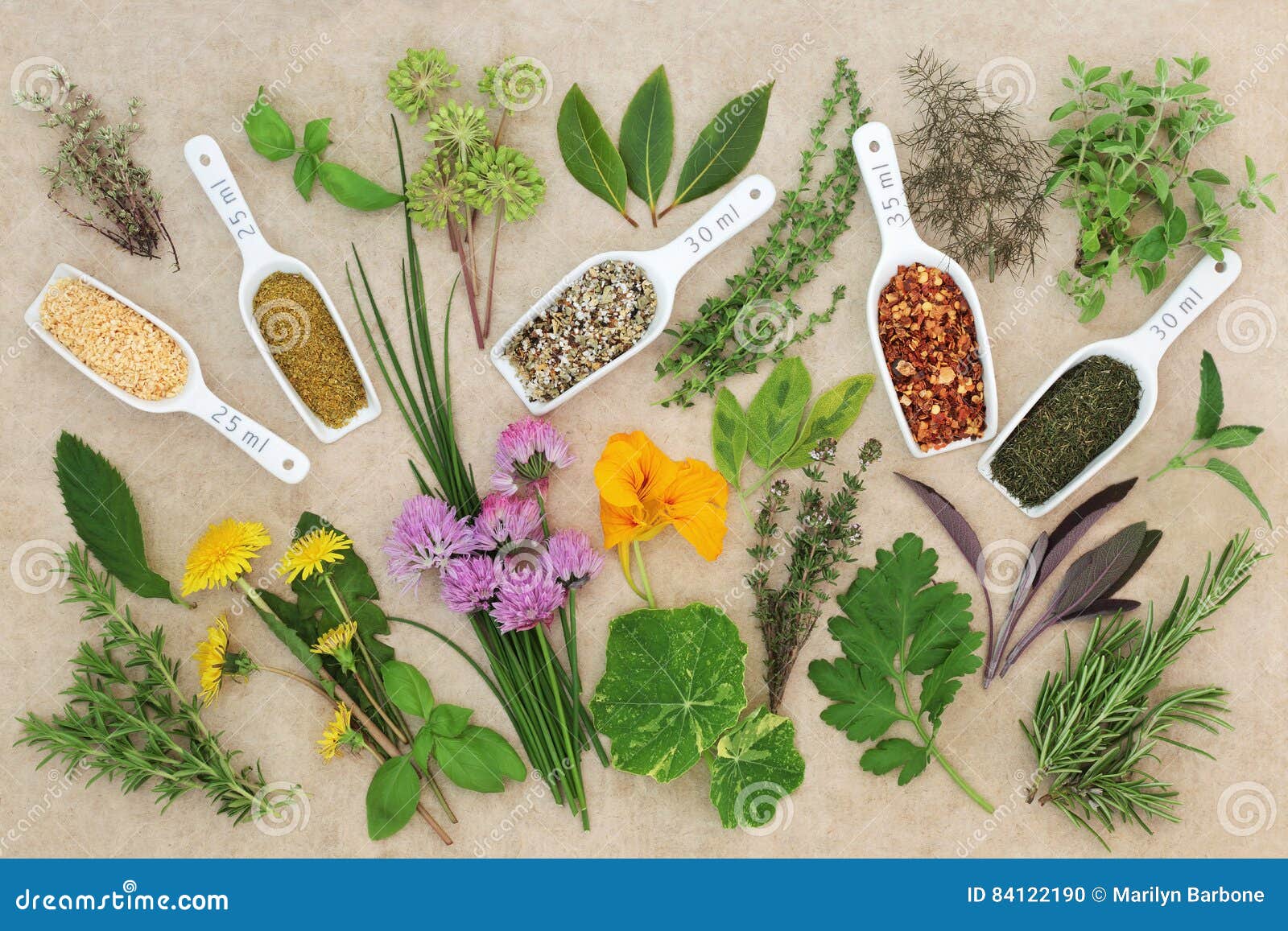 1,138 Fresh Dried Herb Spice Collection Stock Photos Free & Royalty