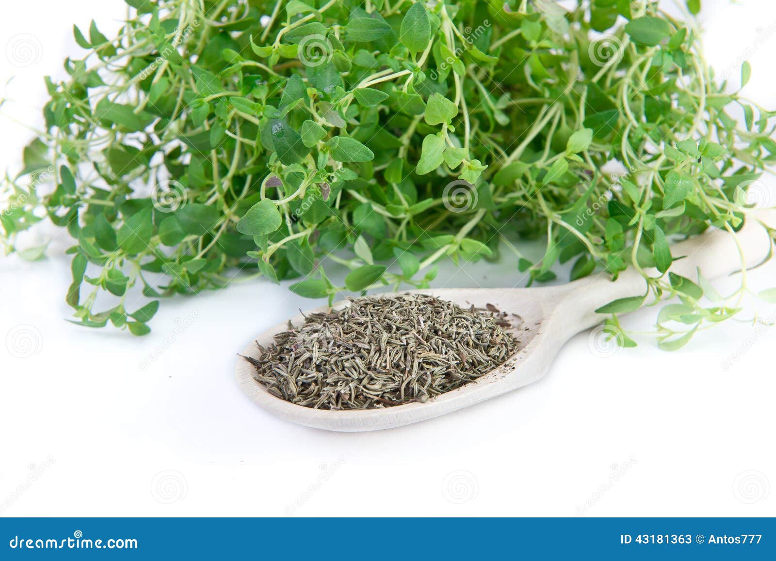 thyme fresh dried equivalent thyme fresh dried equivalent