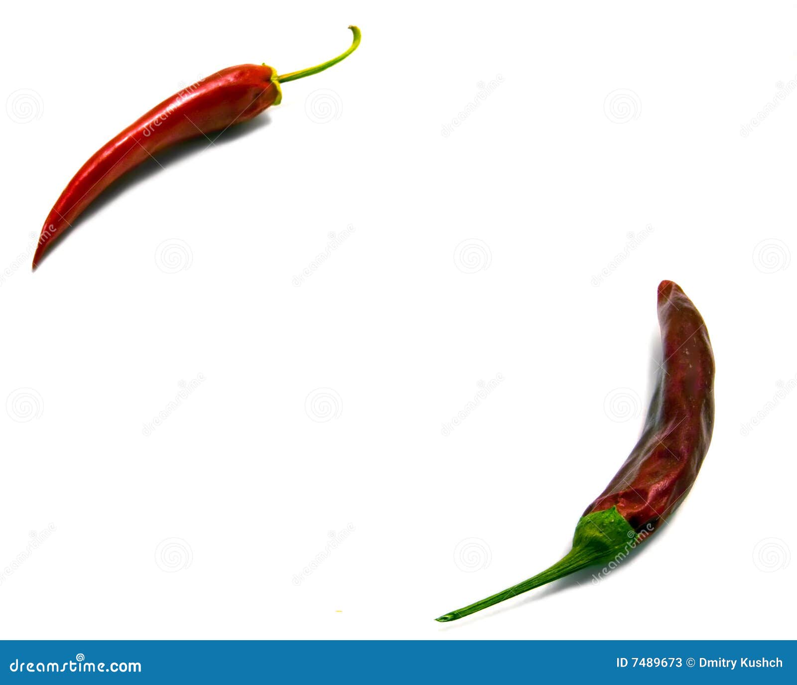 Fresh and Dry Chili Peppers Stock Image Image of vegetables, spice