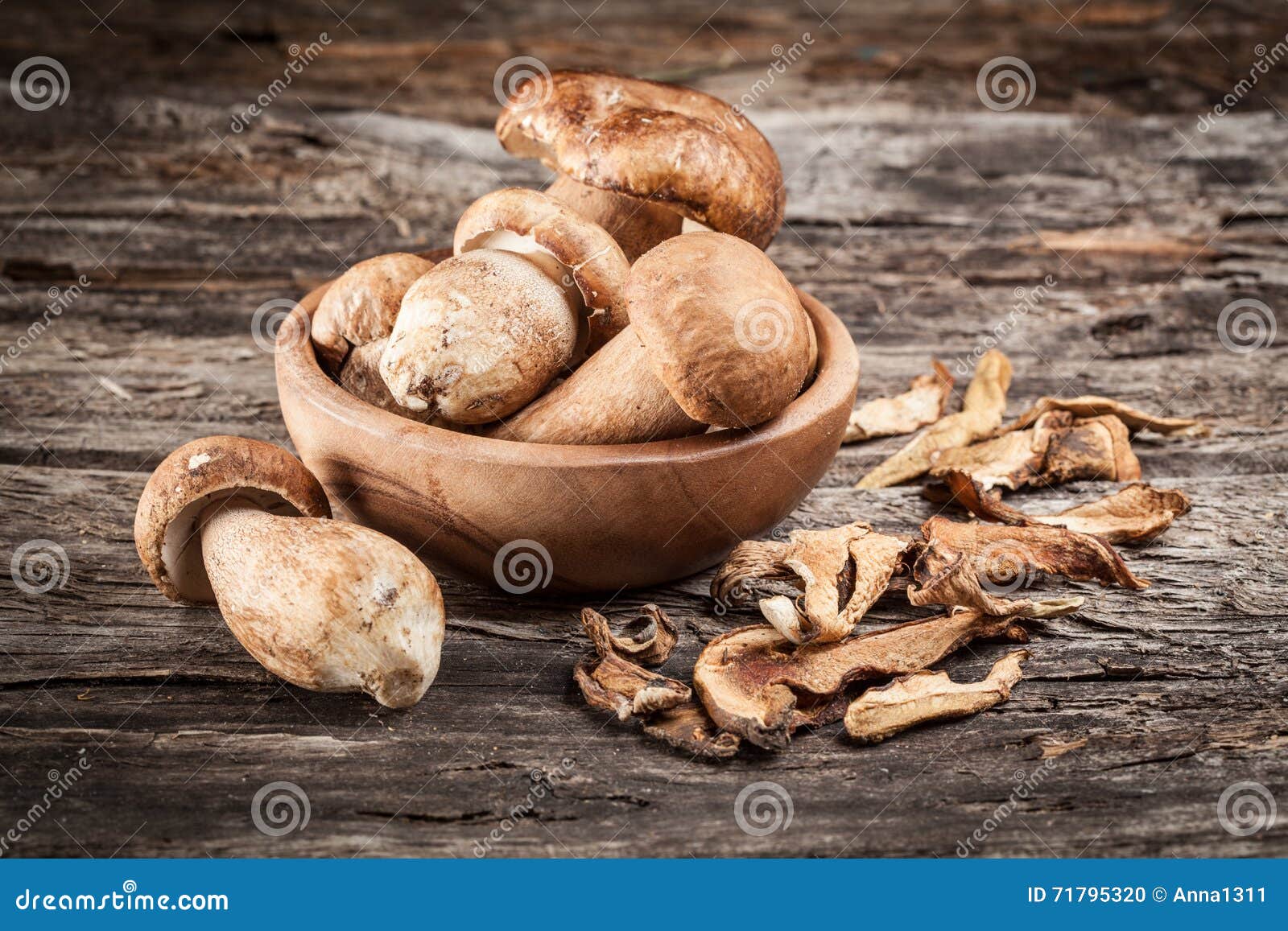 fresh and dry organic ceps on a wooden background
