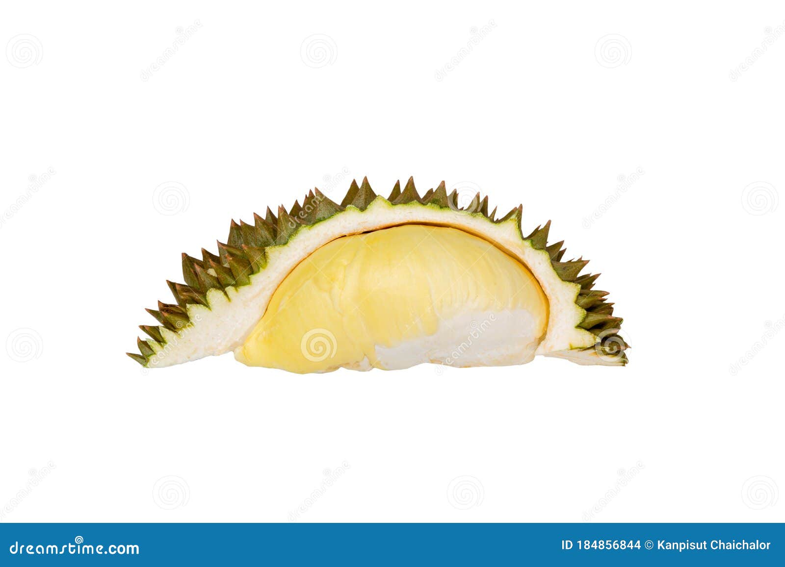 fresh durian fruit placed on a white background. durian the king of fruits the yellow color is on the white background. ripe duria
