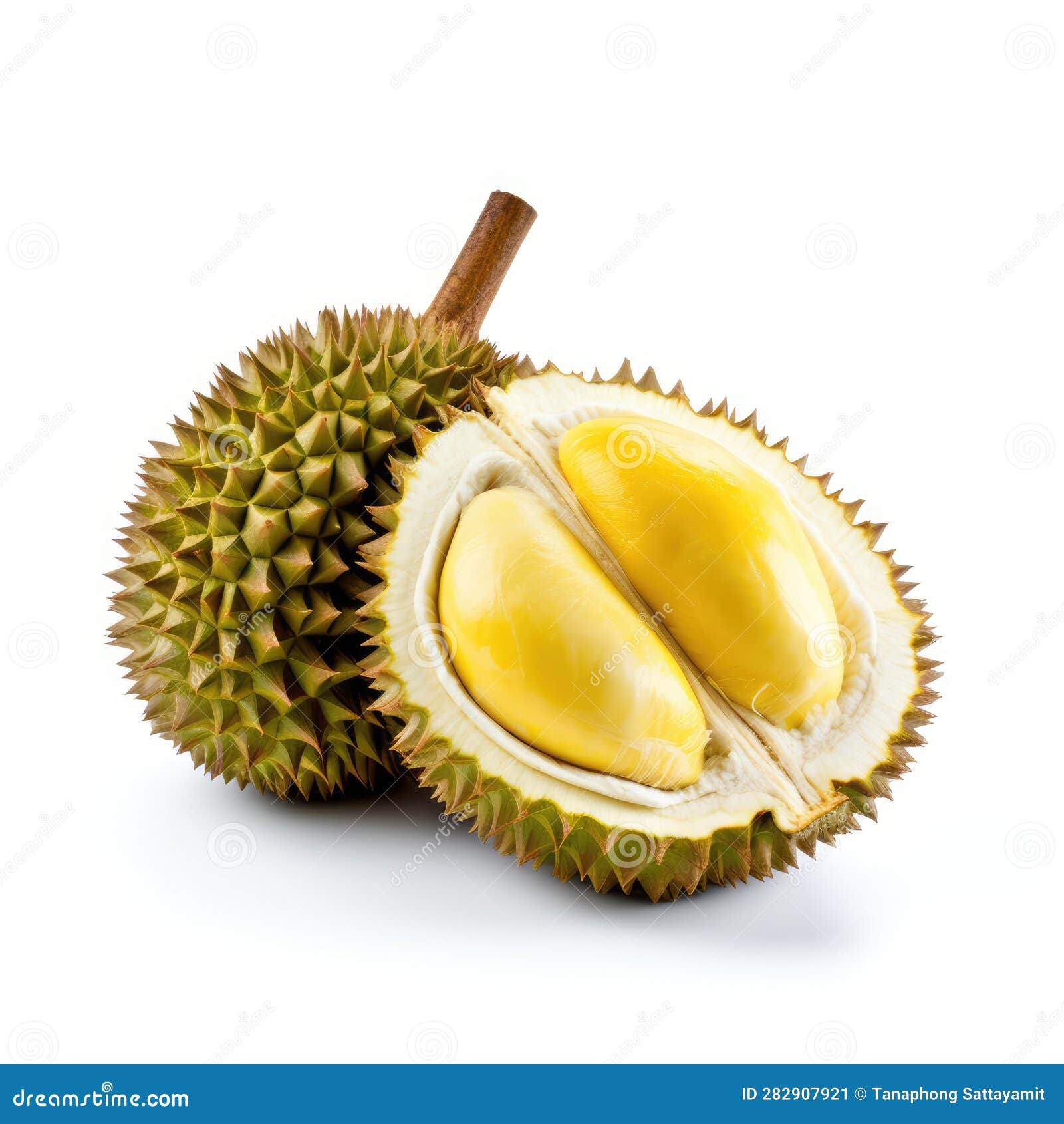 Fresh Durian Fruit on White Background Stock Image Image of taste