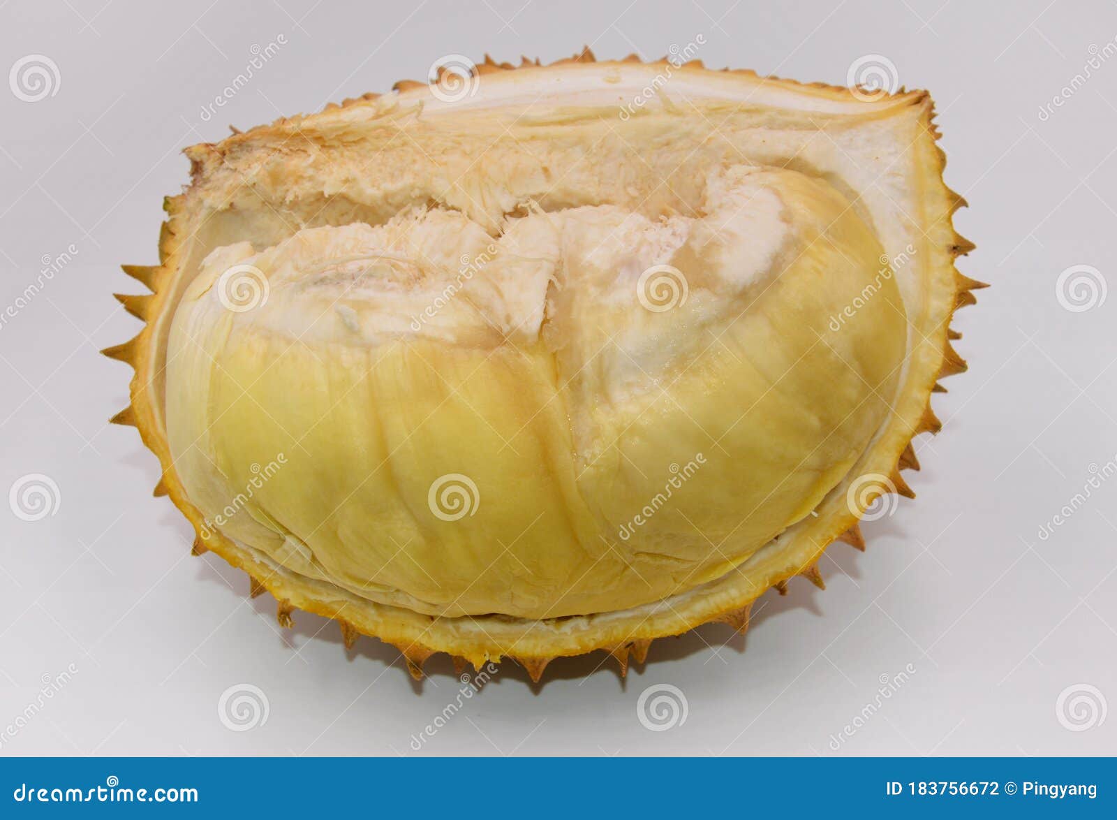 fresh durian sarcocarp with shells on white background