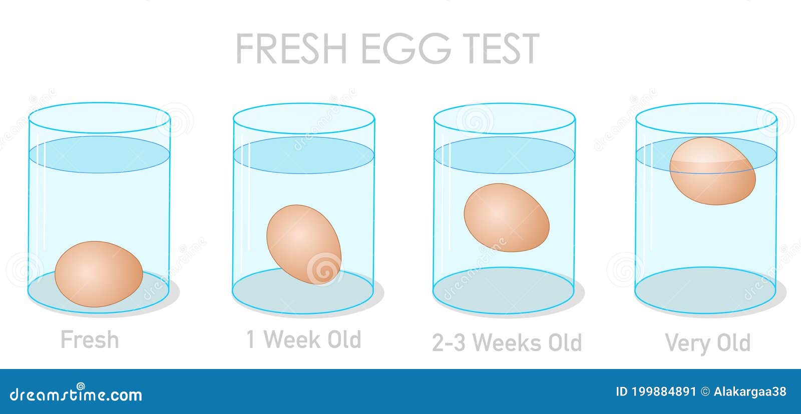 fresh egg test. finding daily fresh eggs, weekly old and stale eggs with the flotation and sinking experiment. freshness