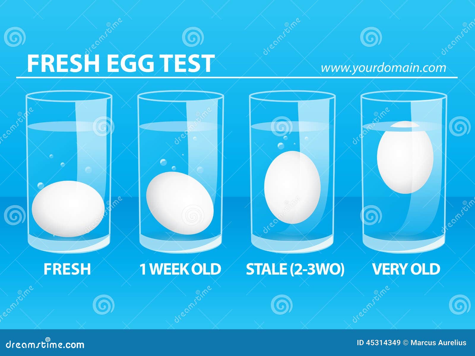 Fresh Egg Test Stock Illustration Illustration Of Eggs