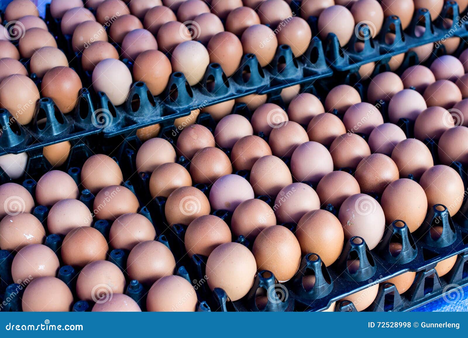 Fresh Eggs from Farm at Wholesale Market Stock Photo Image of