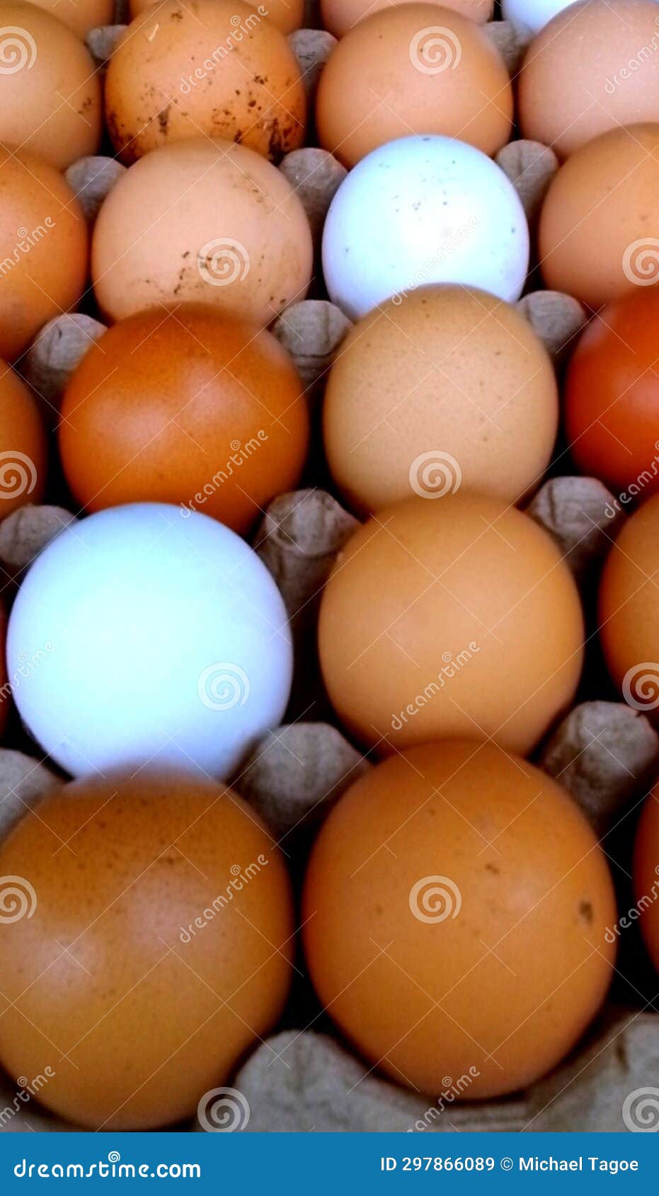 Fresh eggs in a crate stock image. Image of chicken 297866089