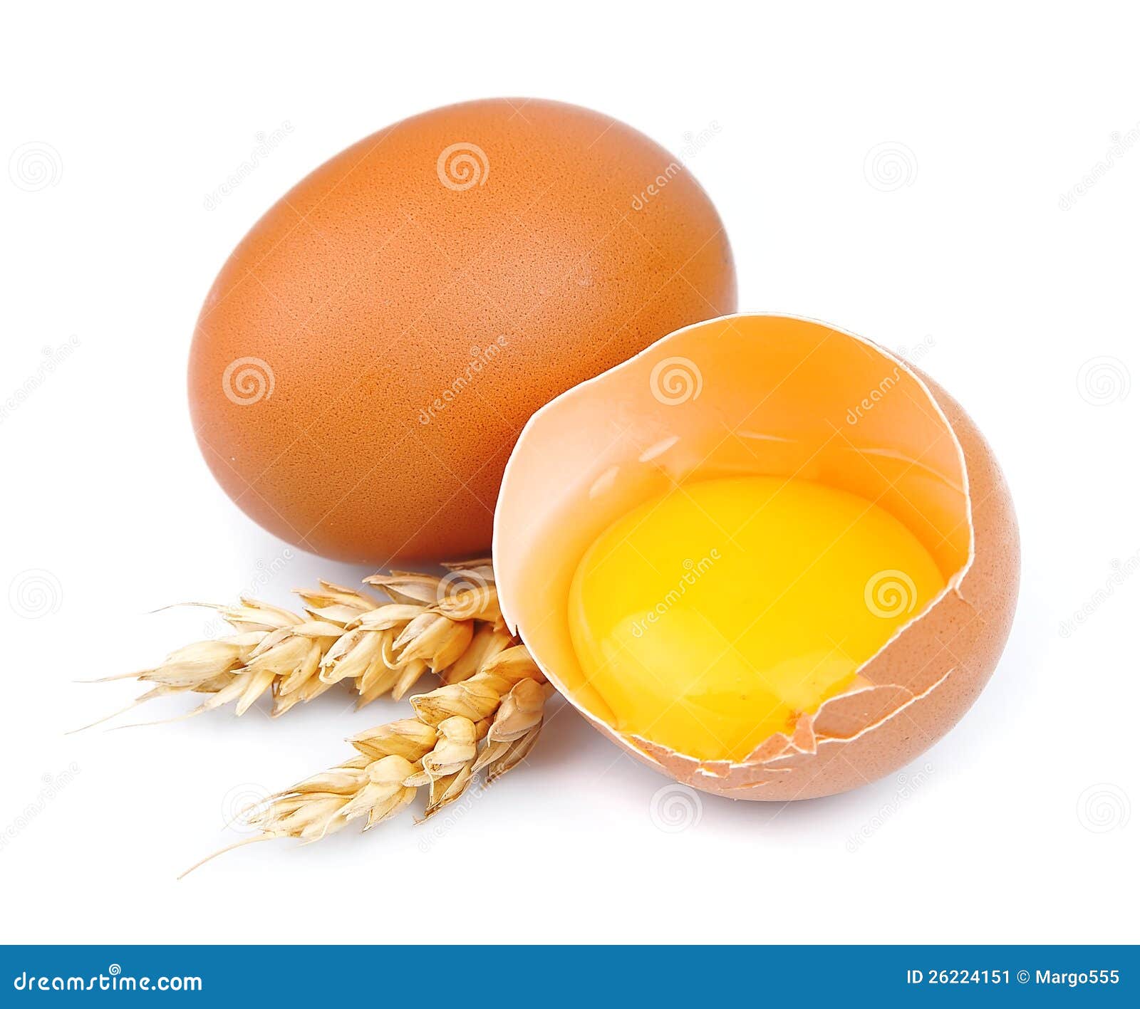 Fresh eggs and wheat cones stock image. Image of vegetarian 26224151