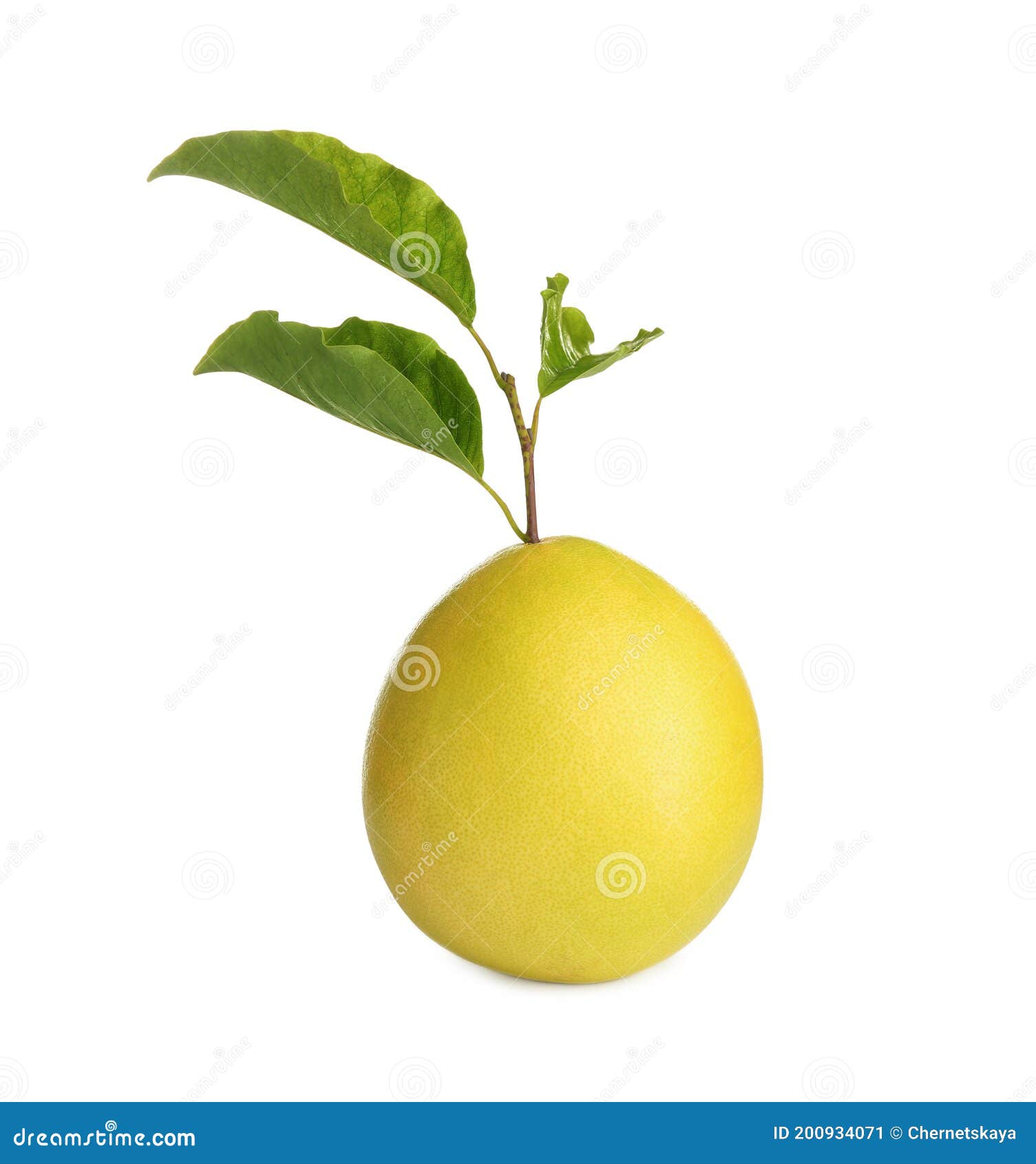 Fresh Exotic Pomelo Fruit with Leaves Isolated on White Stock Image