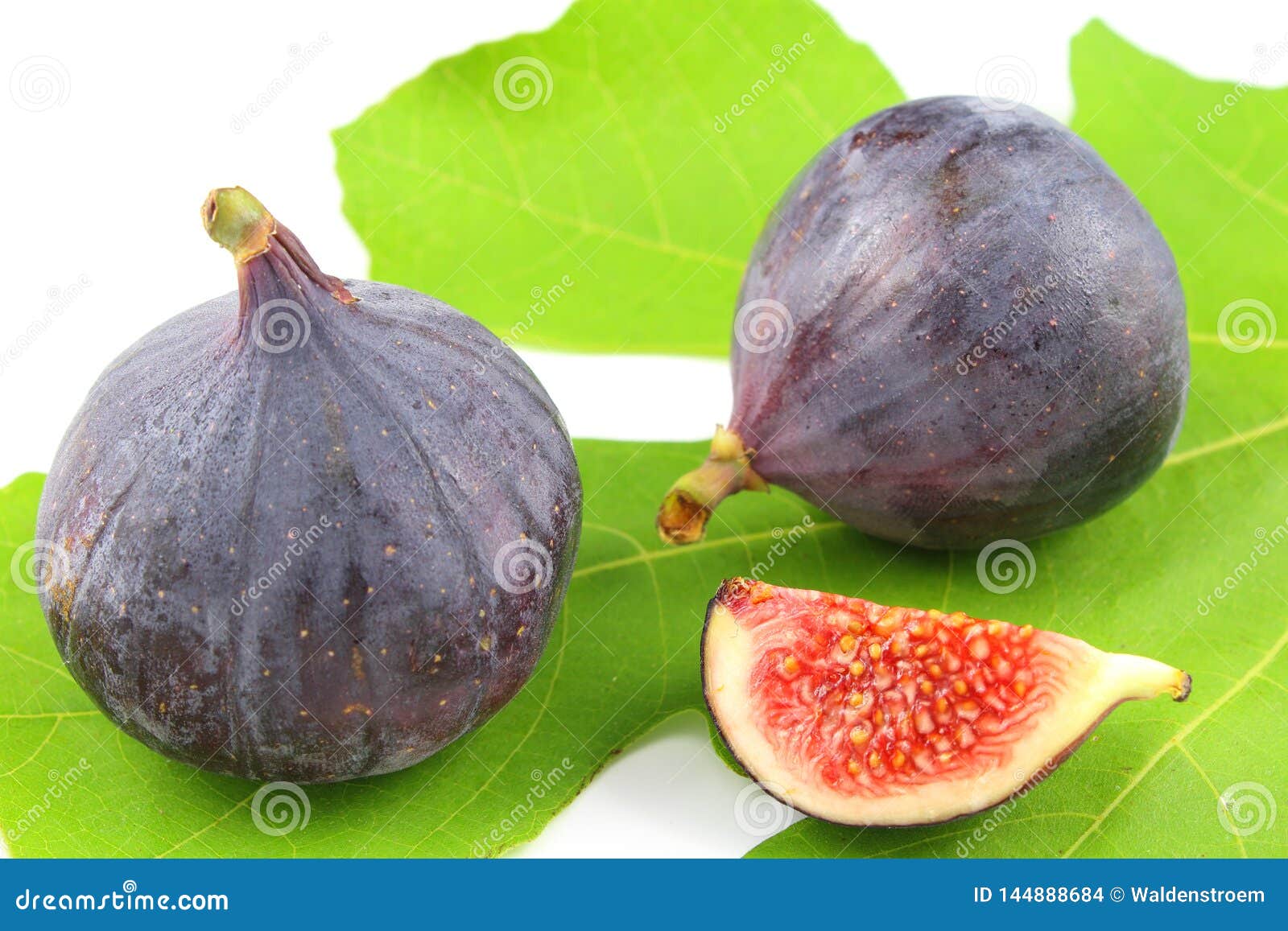 Fresh Fig Fruits on a Fig Leaf Stock Photo Image of figs, ficus