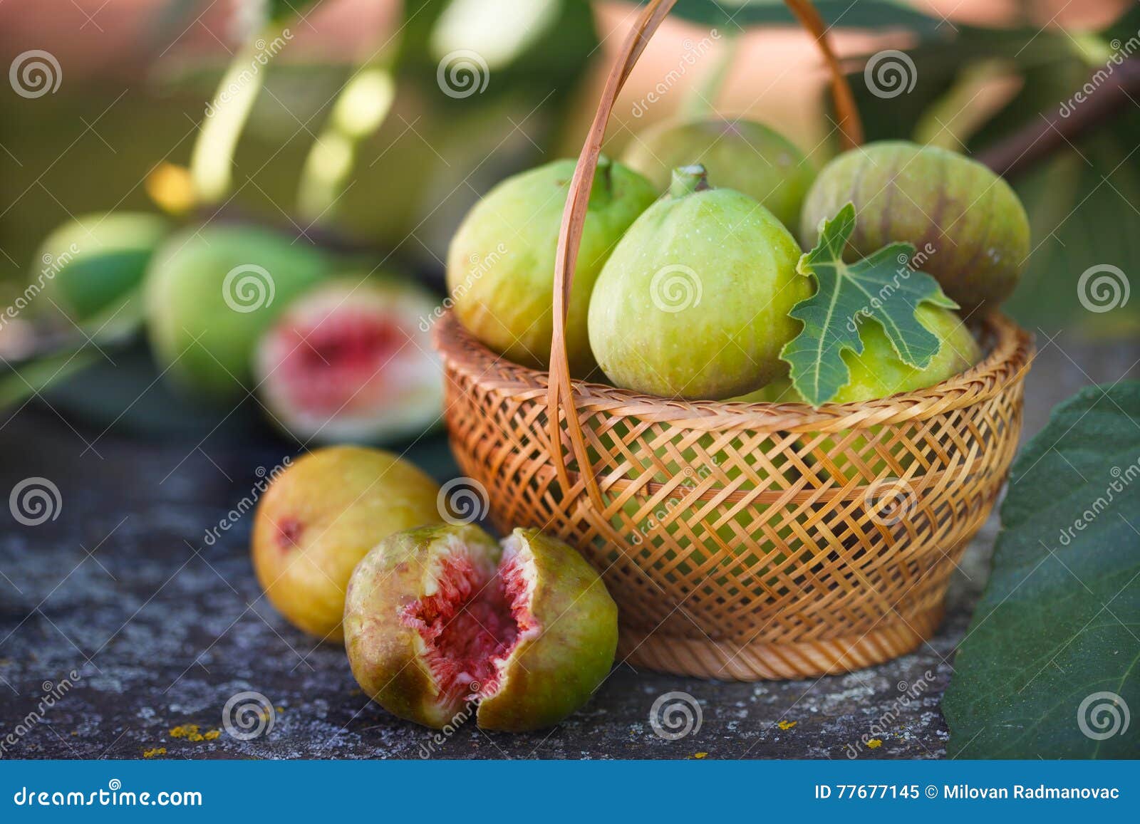 Fresh Figs in Wicker Basket Stock Image Image of healthy, outdoors