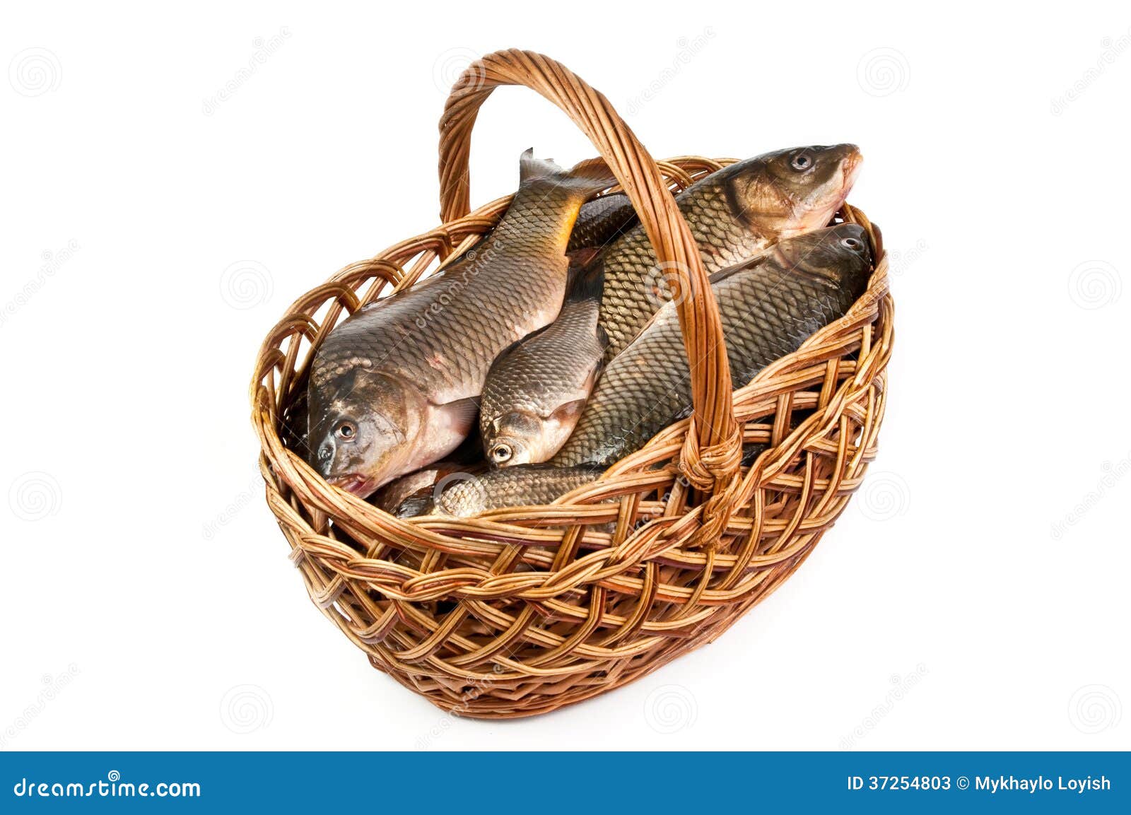 Fresh fish in a basket stock image. Image of nature, smell 37254803