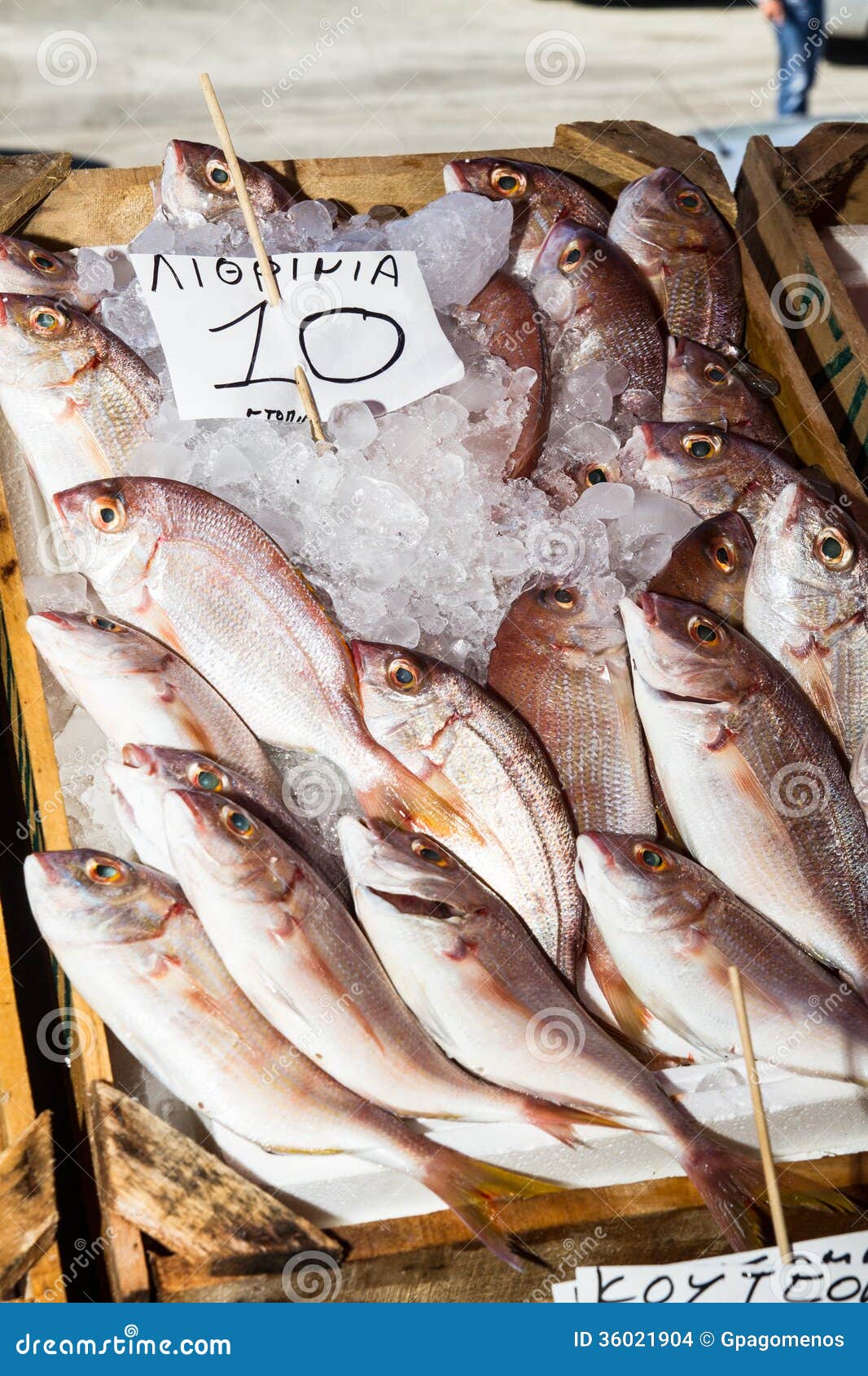 Fresh fish catch stock photo. Image of life, ocean, catch 36021904