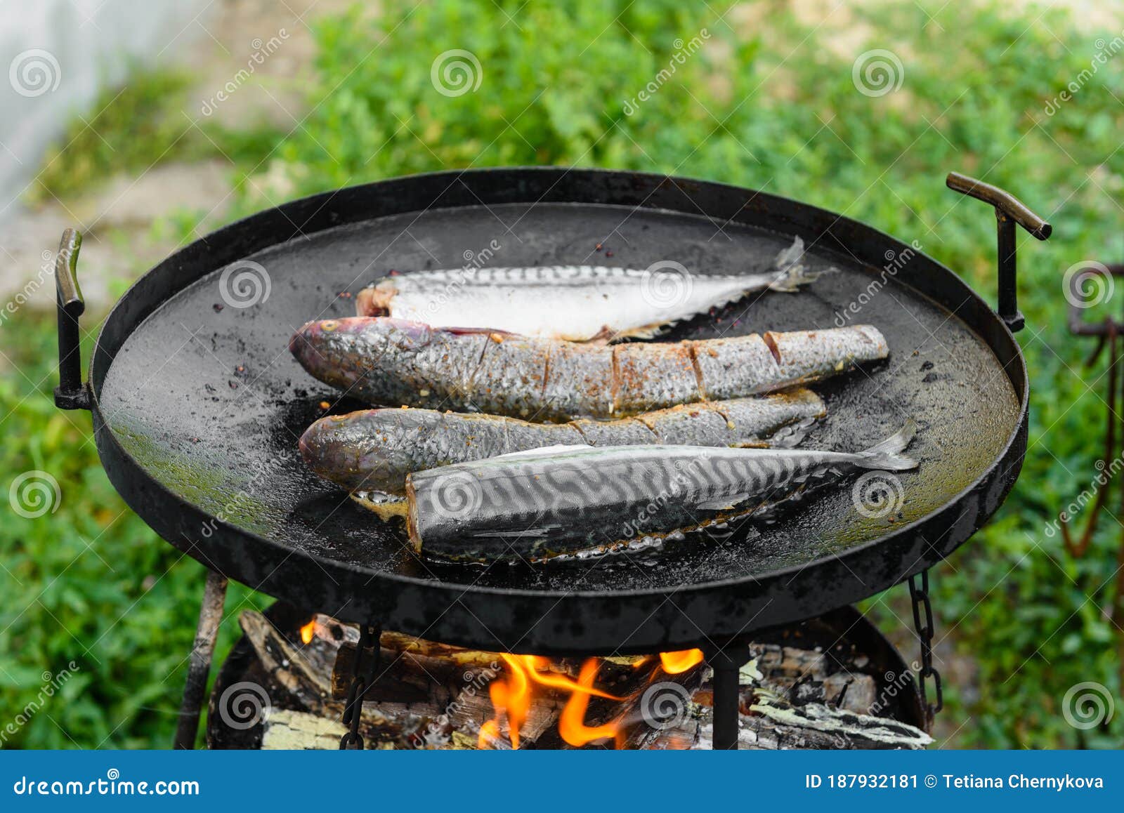 Fresh Fish are Cooked in a Grill Pan on Open Fire Stock Image Image