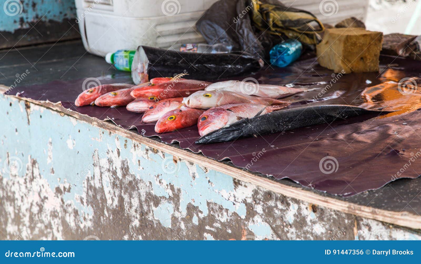 Fresh Fish on Deck of Boat stock photo. Image of deck - 91447356