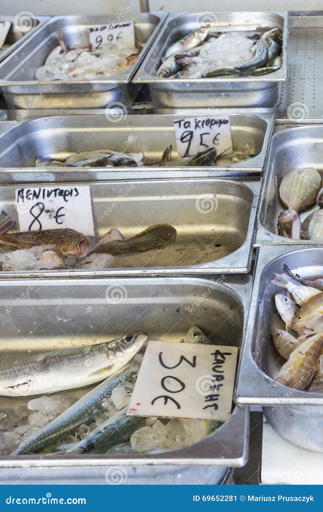 Fresh Fish in the Fish Market Greece Stock Image Image of bogue