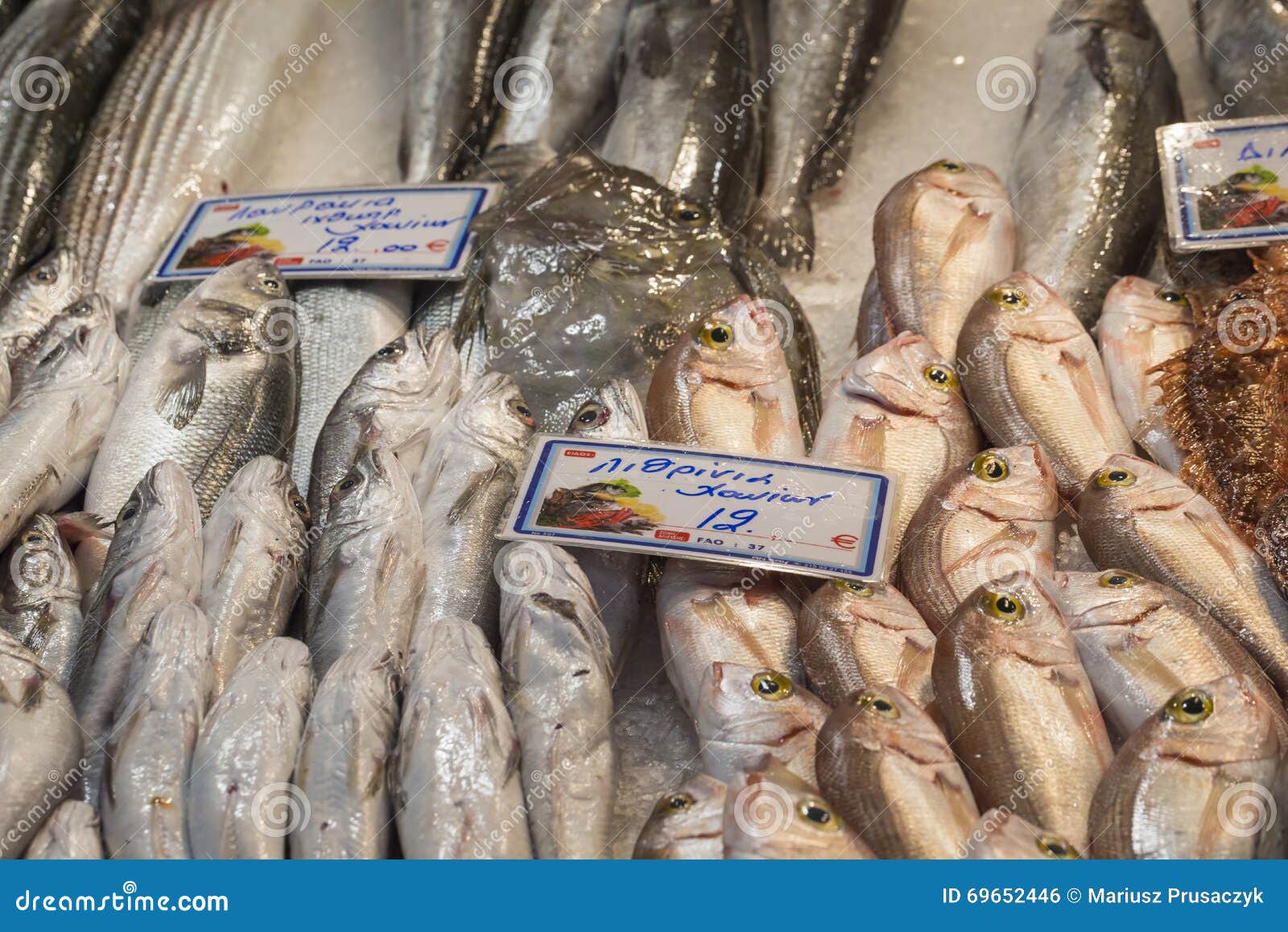 Fresh Fish in the Fish Market Greece Editorial Photo Image of fresh