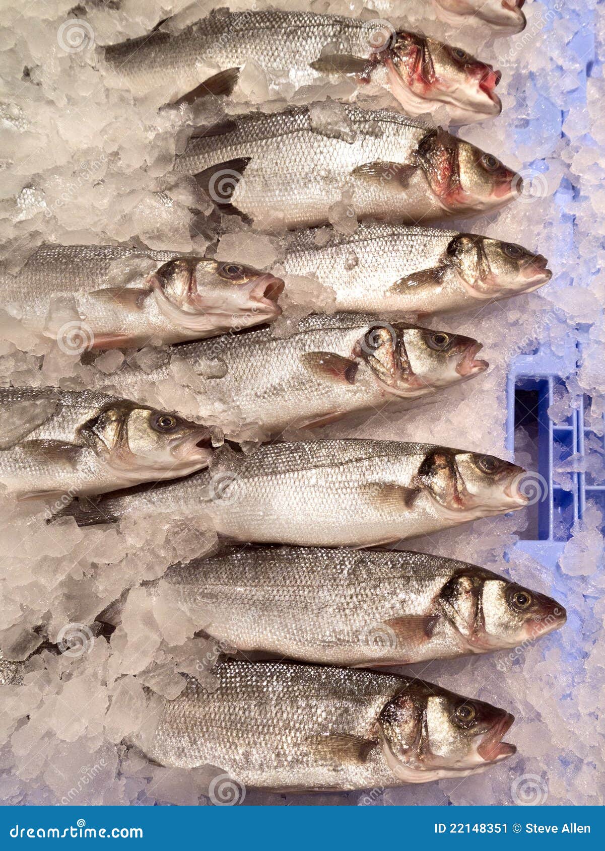 Fresh Fish Food Market stock image. Image of fresh 22148351