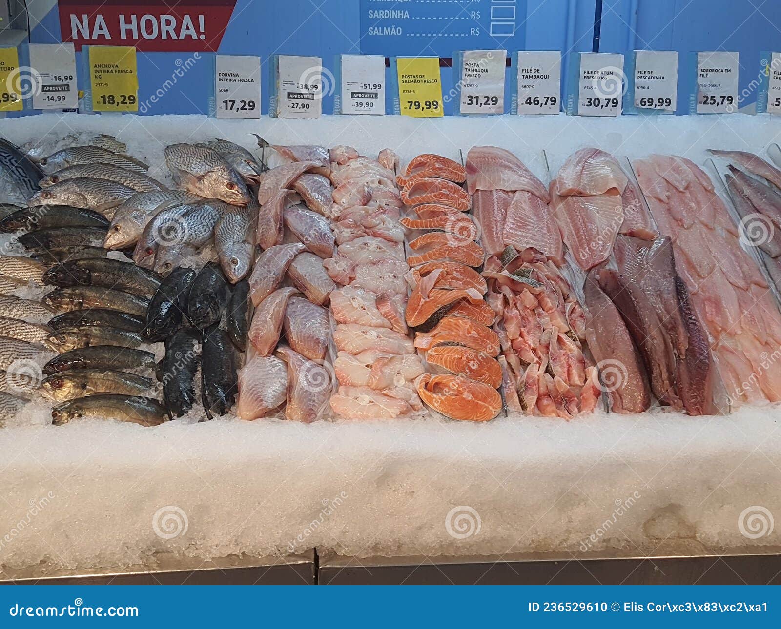 fresh fish on ice, different types, colorful, whole and fillets, in a fishmonger .