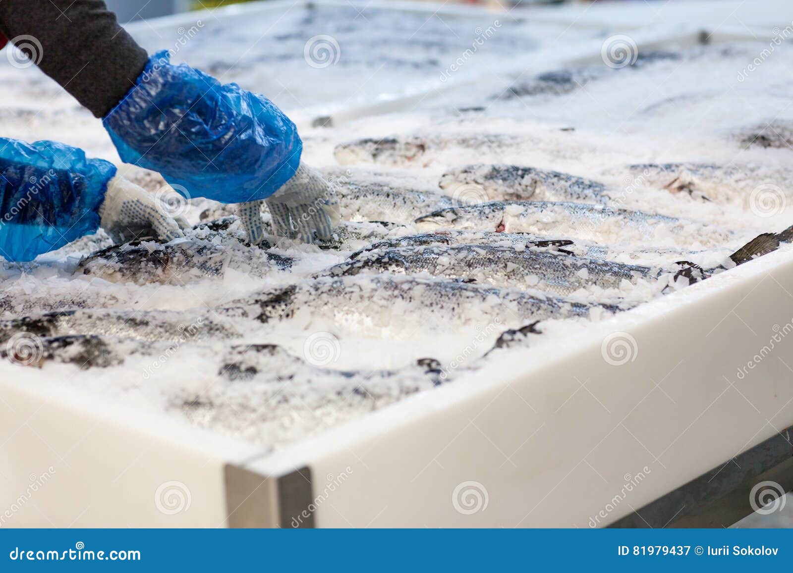 Fresh Fish on Ice in Supermarket Stock Image Image of food