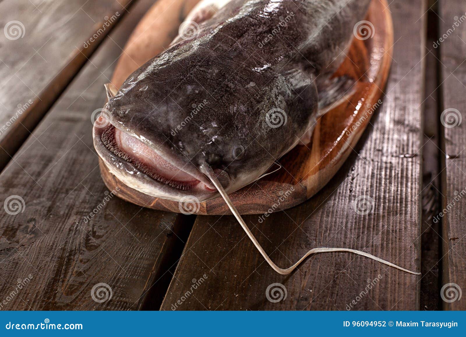 fresh fish in the kitchen. culinary seafood eating.