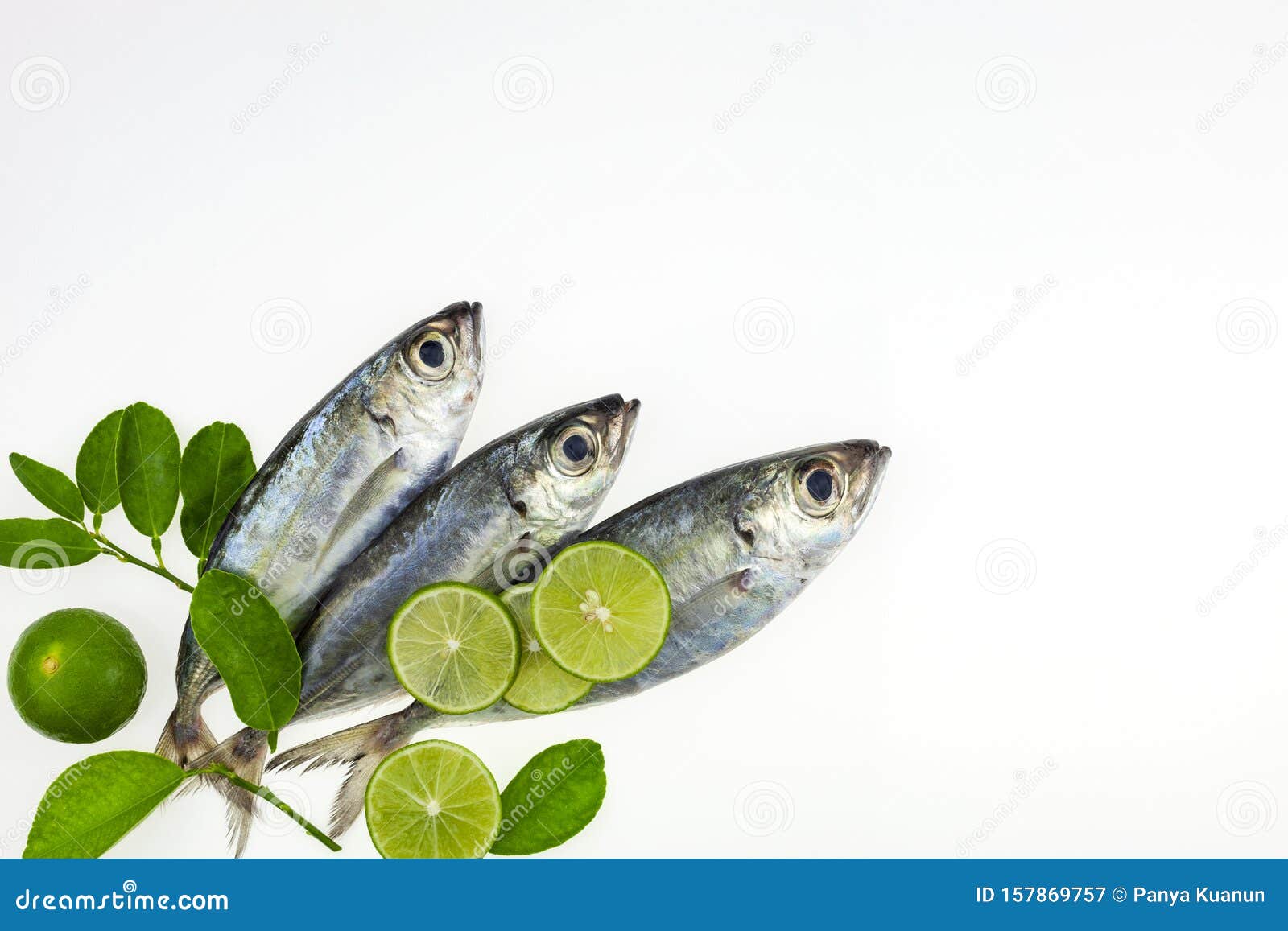 Fresh Fish and Lime Isolated on a White Background Stock Image Image