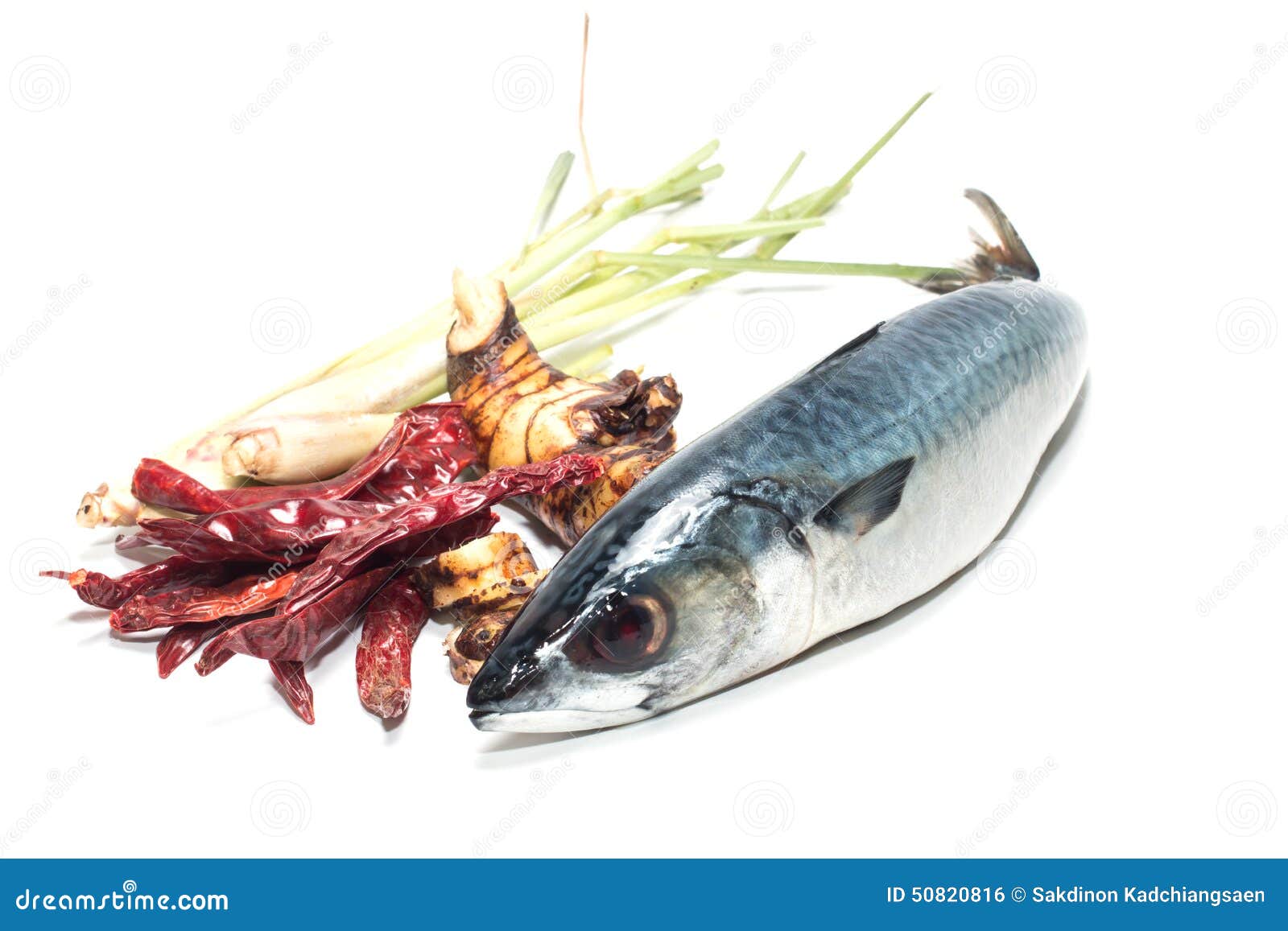 Fresh Fish Mackerel, Tuna, Saba Stock Photo Image of herb, healthy