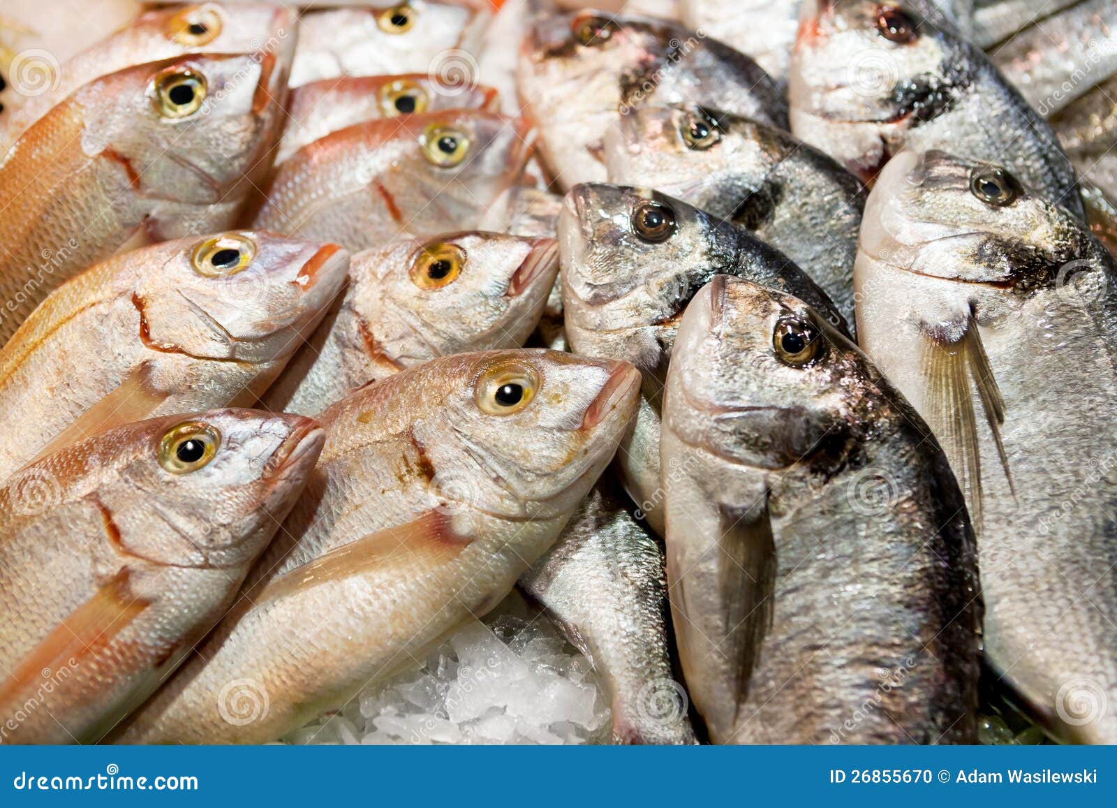 Fresh Fish At The Market Stock Photo Image 26855670