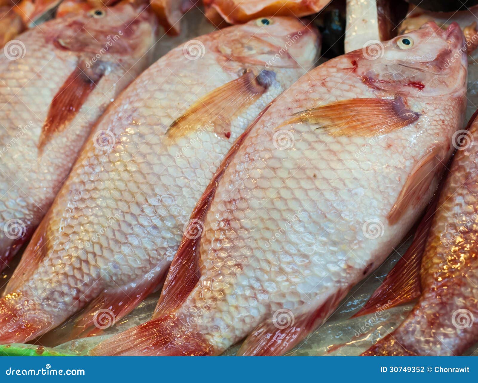 Fresh Fish stock photo. Image of market, wild, restaurant 30749352