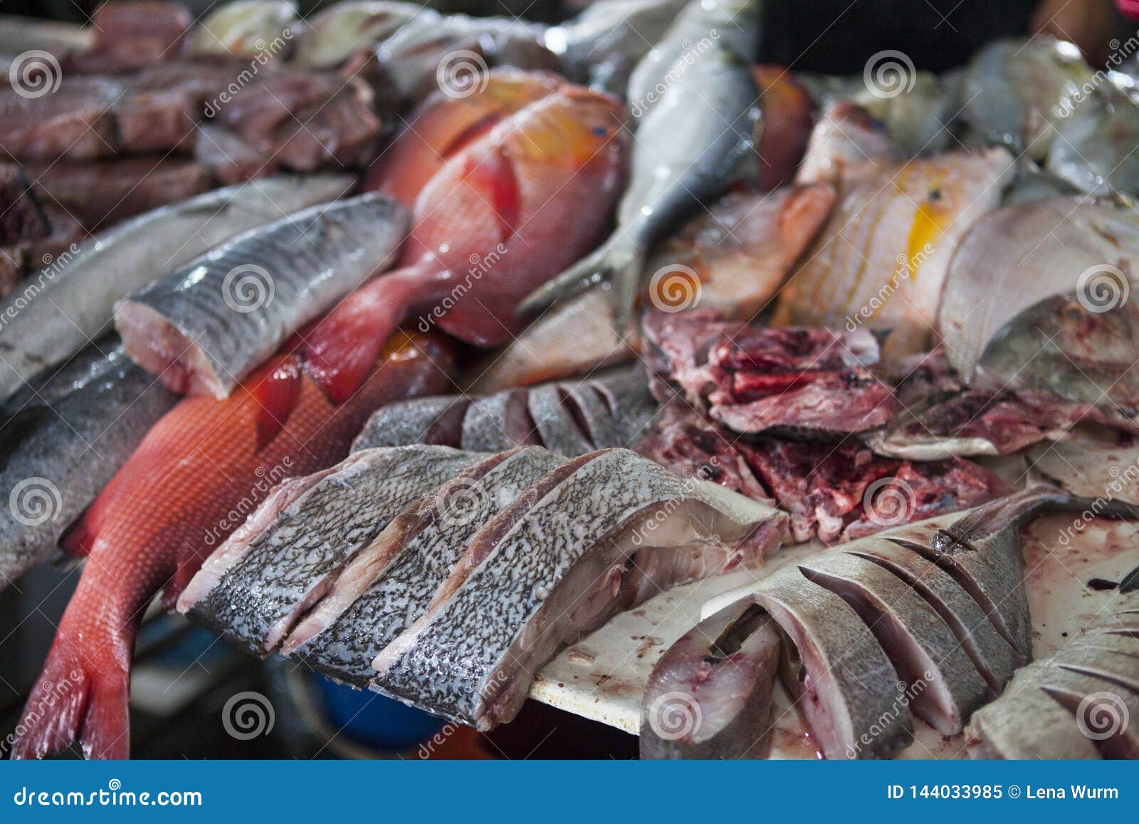 Dry Fish in the Market in Malaysia Stock Image Image of fishing
