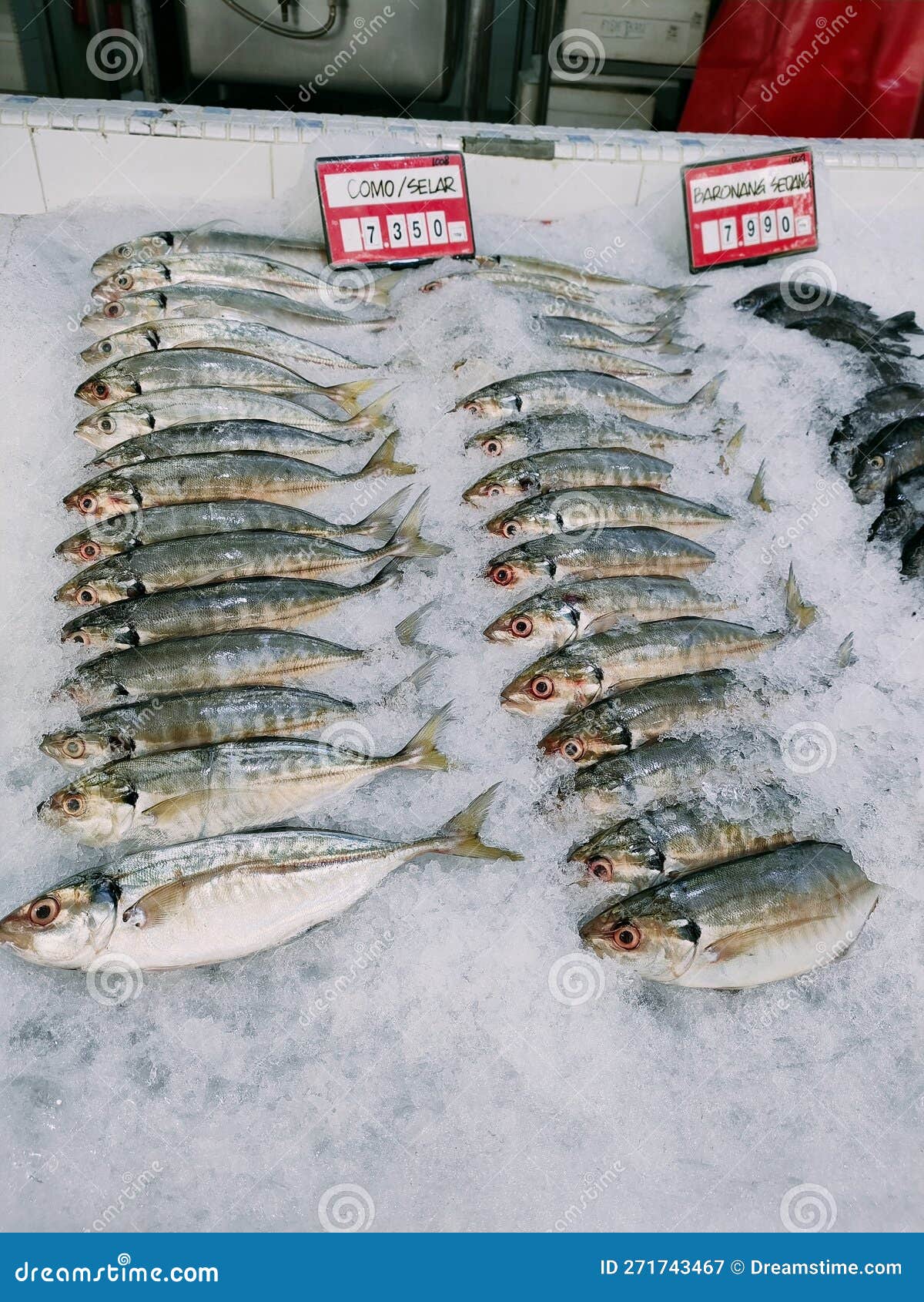 Fresh fish on market stock image. Image of street, food 271743467