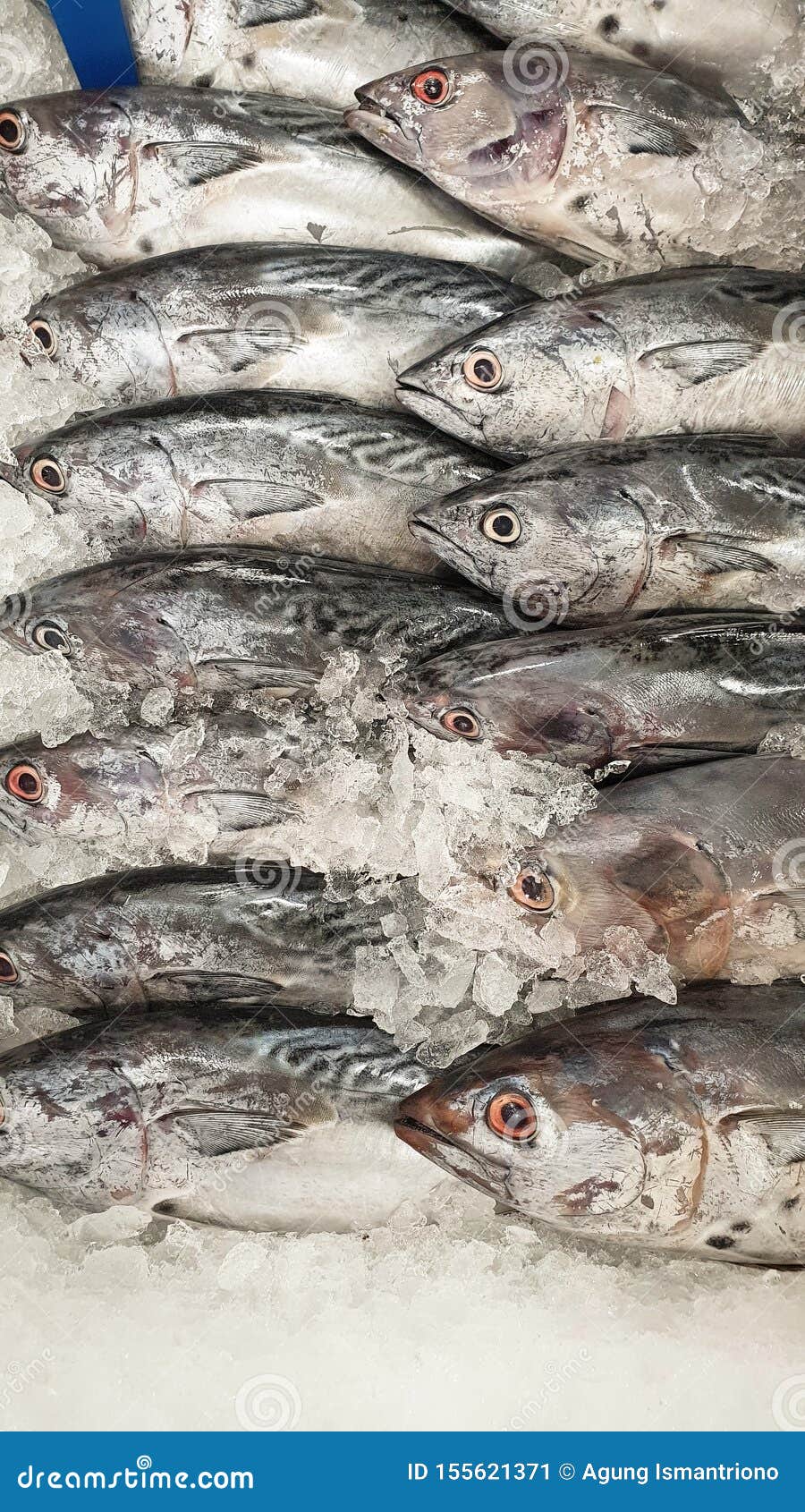 Fresh fish on market place stock image. Image of bass 155621371