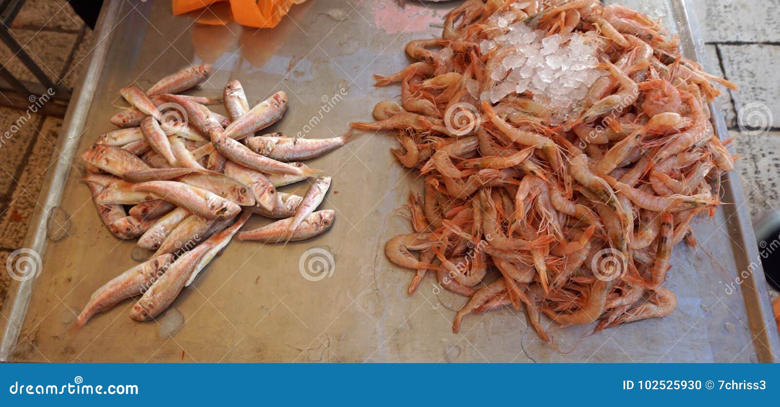 Fresh Fish from Fish Market in Split Stock Photo Image of cook
