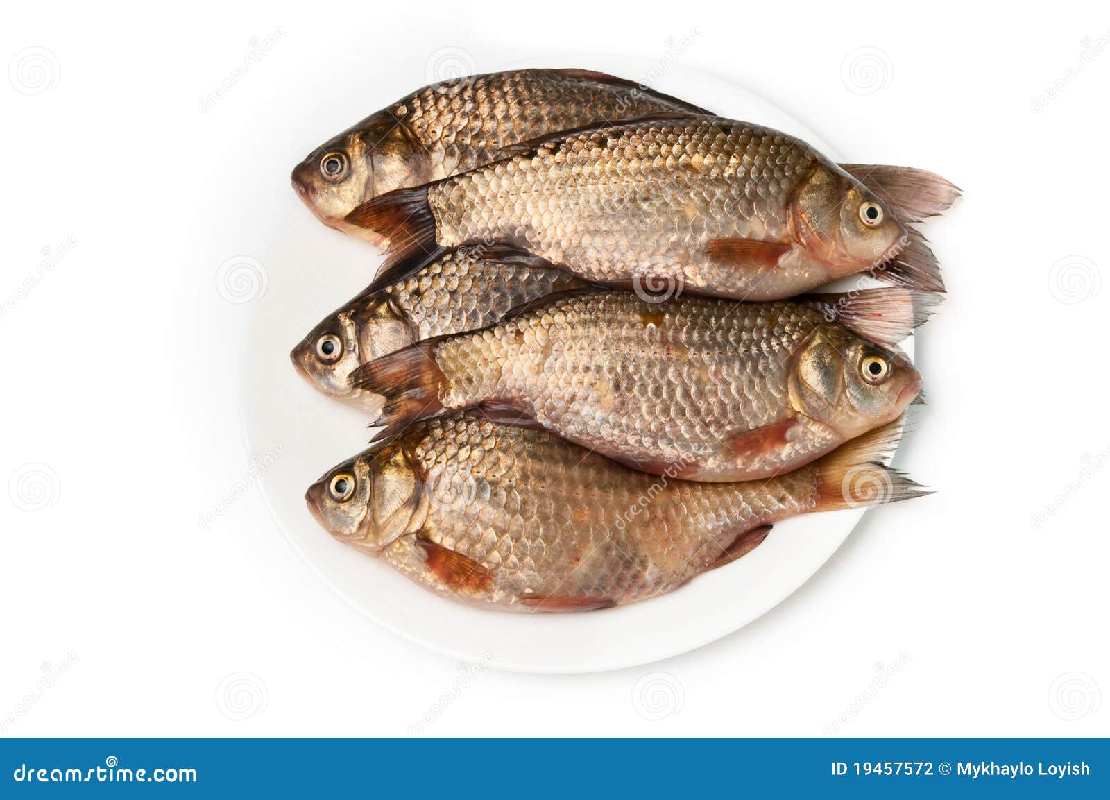 1,629 Fish Wicker Stock Photos - Free & Royalty-Free Stock Photos from  Dreamstime