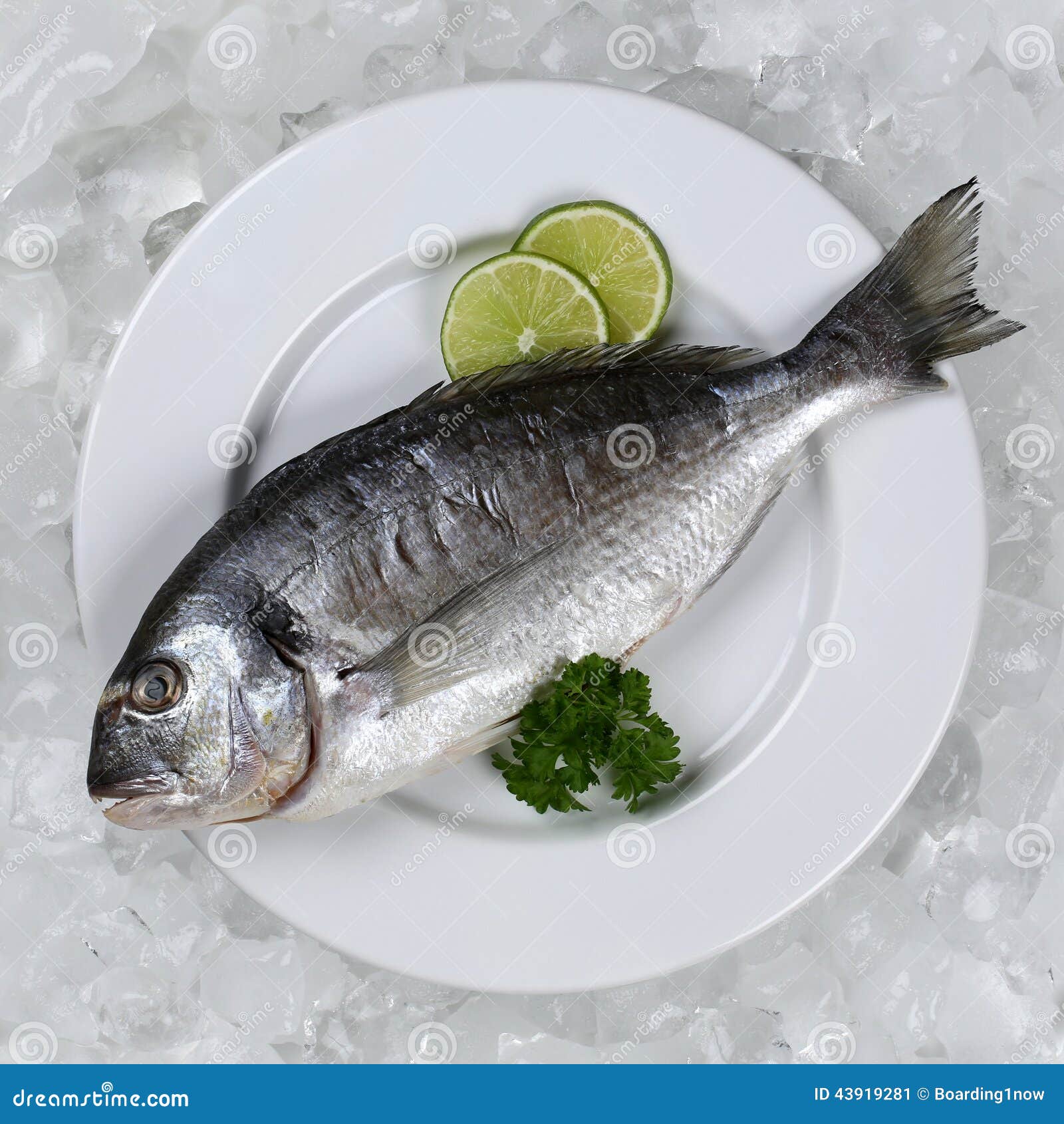 Fresh Fish On A Plate From Above Stock Image Image Of Fresh Plate