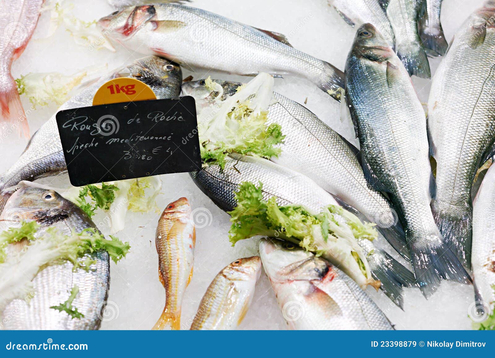 Fresh fish for sale stock image. Image of fresh, fish 23398879