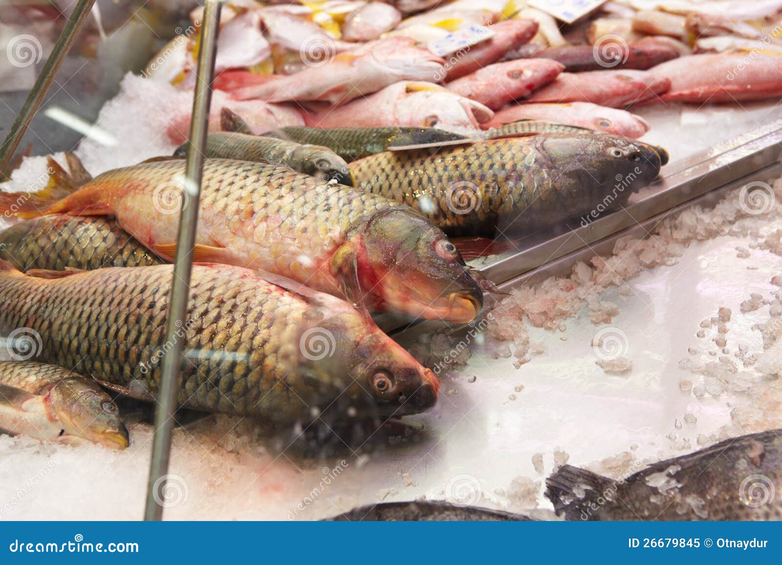 Fresh fish for sale stock image. Image of selling, shop 26679845