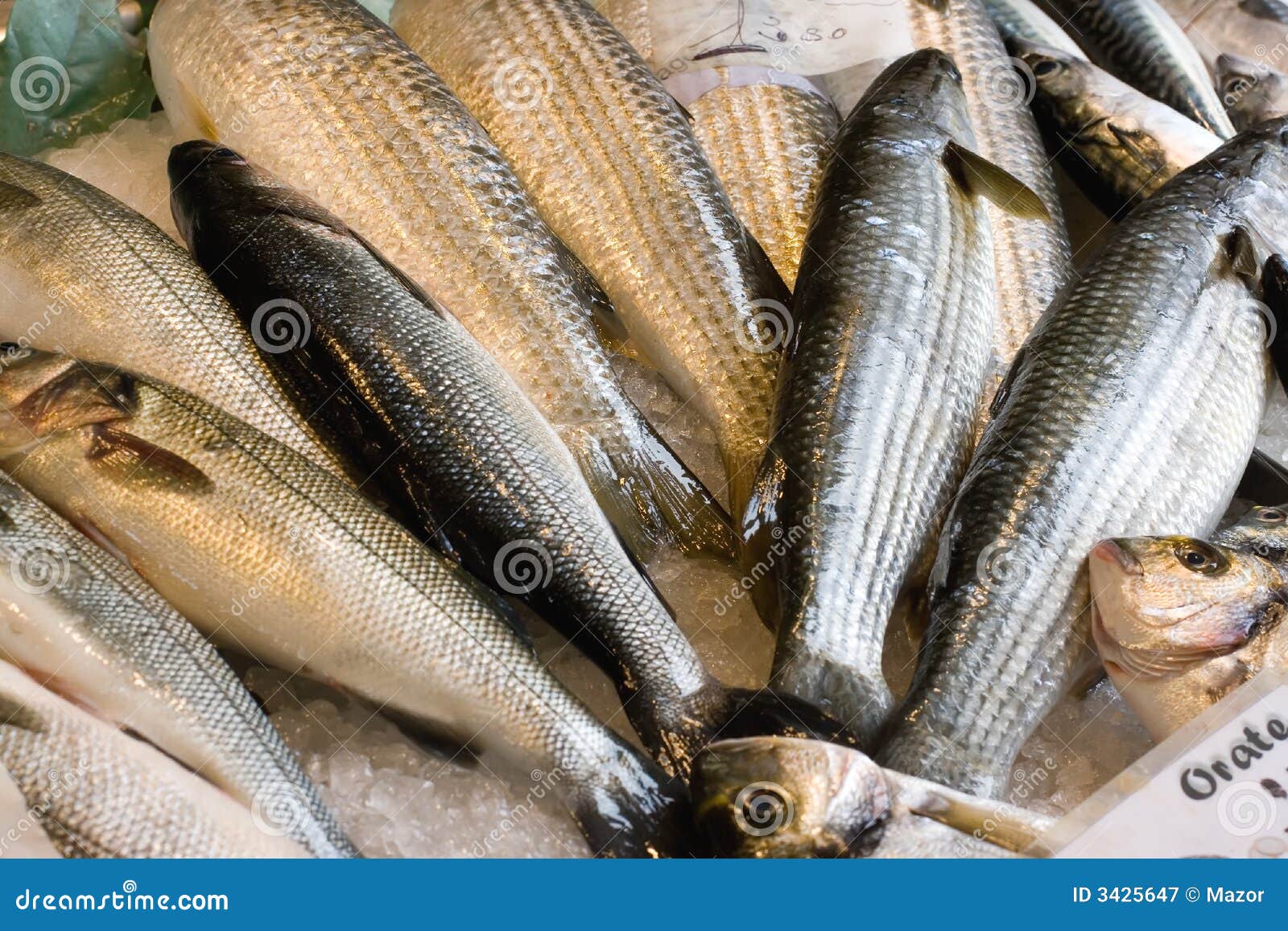 Fresh fish for sale stock image. Image of animal, delicatessen 3425647