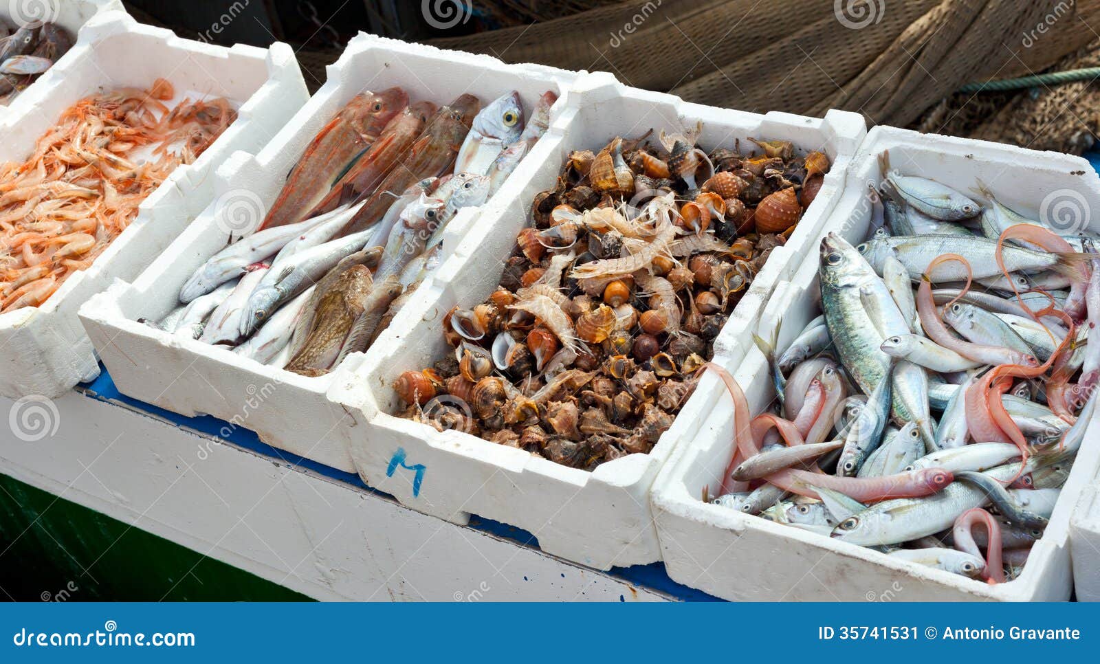 Fresh Fish for Sale at the Harbor Stock Image Image of fishing