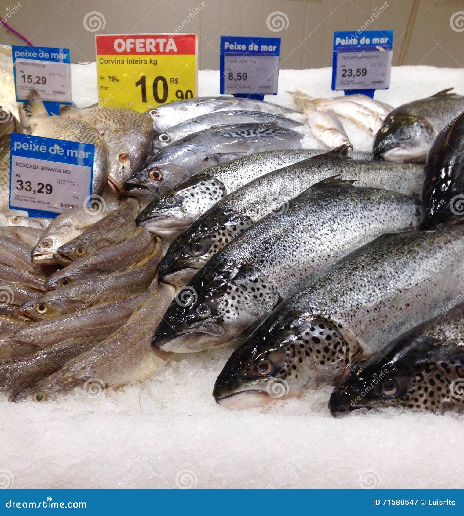 Fresh fish editorial photography. Image of price, mart 71580547